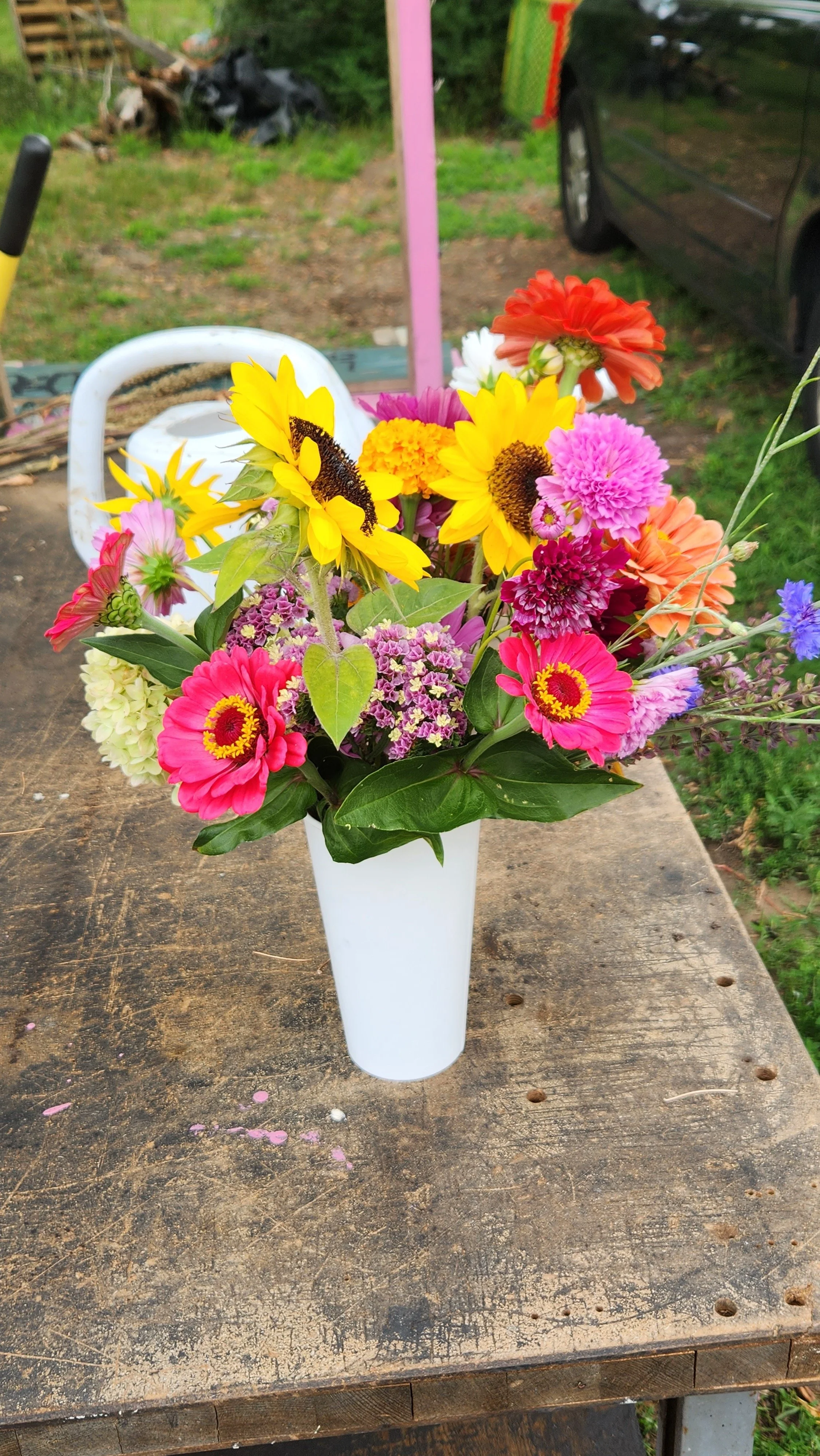 Colorful bouquet of sunflowers, zinnias, and other assorted flowers in a white vase on a wooden table outdoors.  from a you-pick or u-pick flower farm in east central minnesota