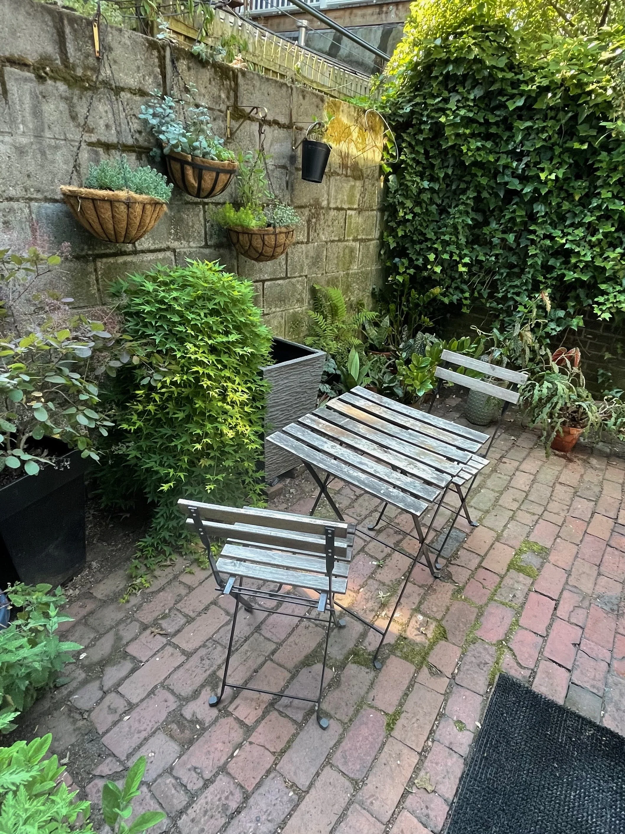 15backyard2.jpeg
