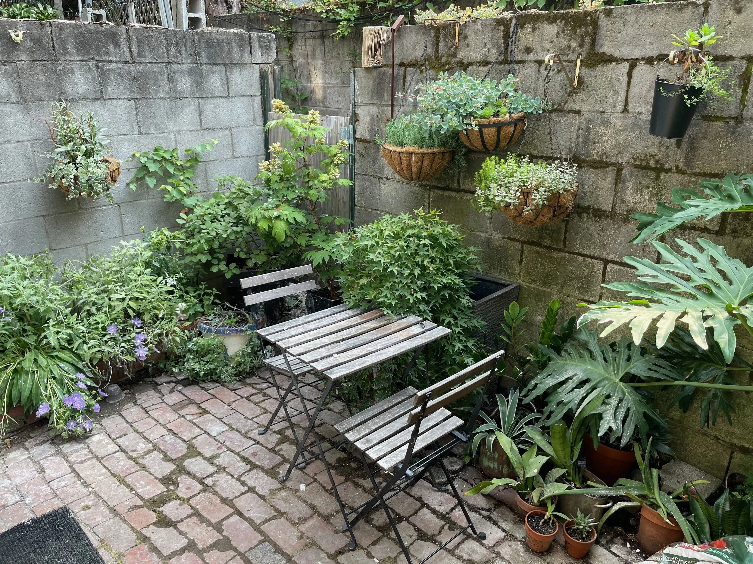 14backyard1.jpeg