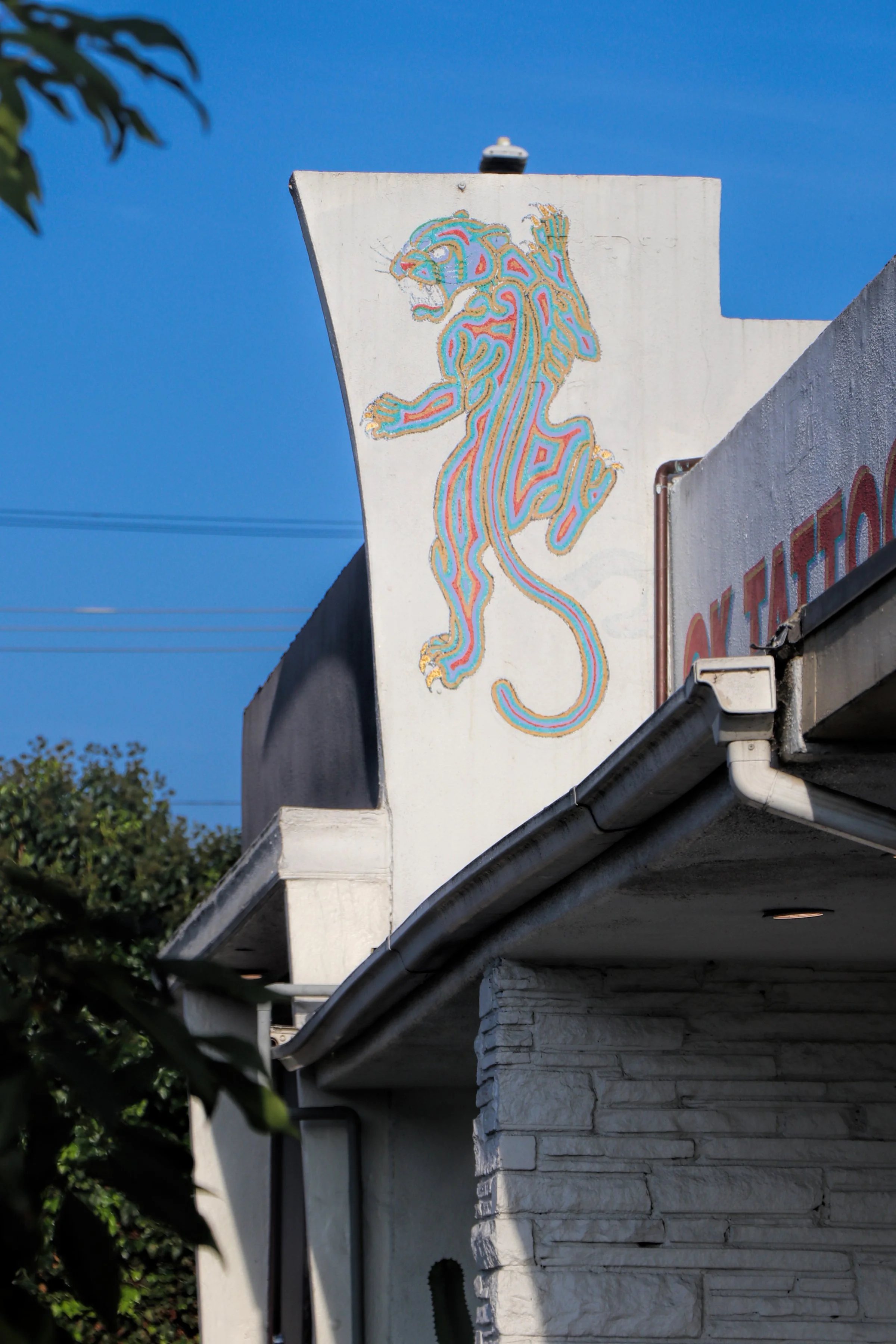IMG_7567.JPG