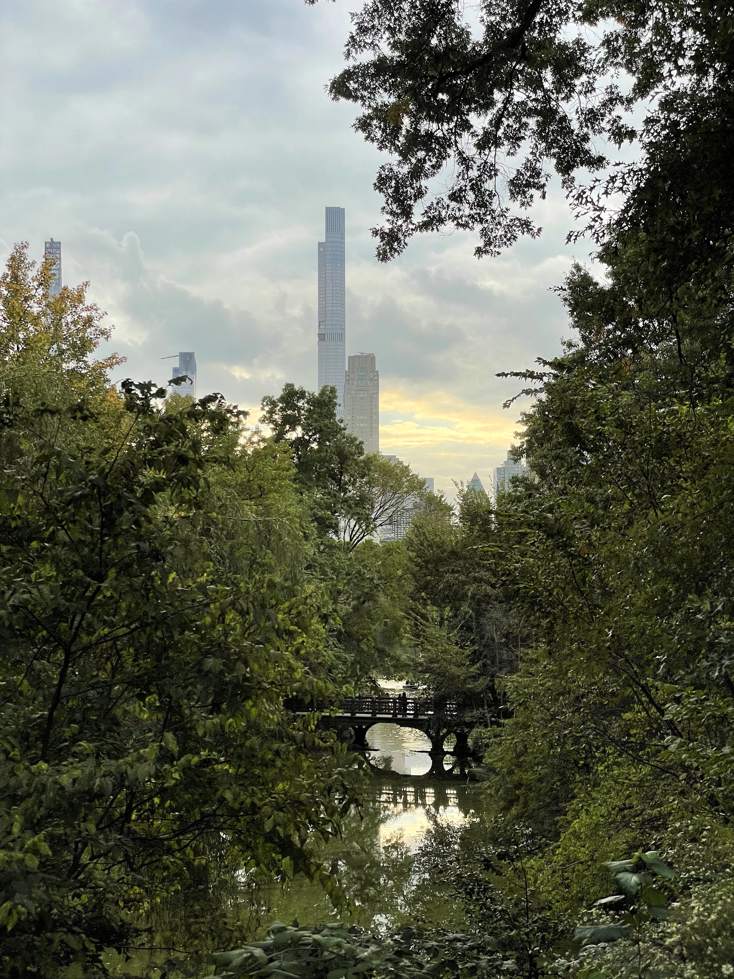 IMG_3869(1).JPEG