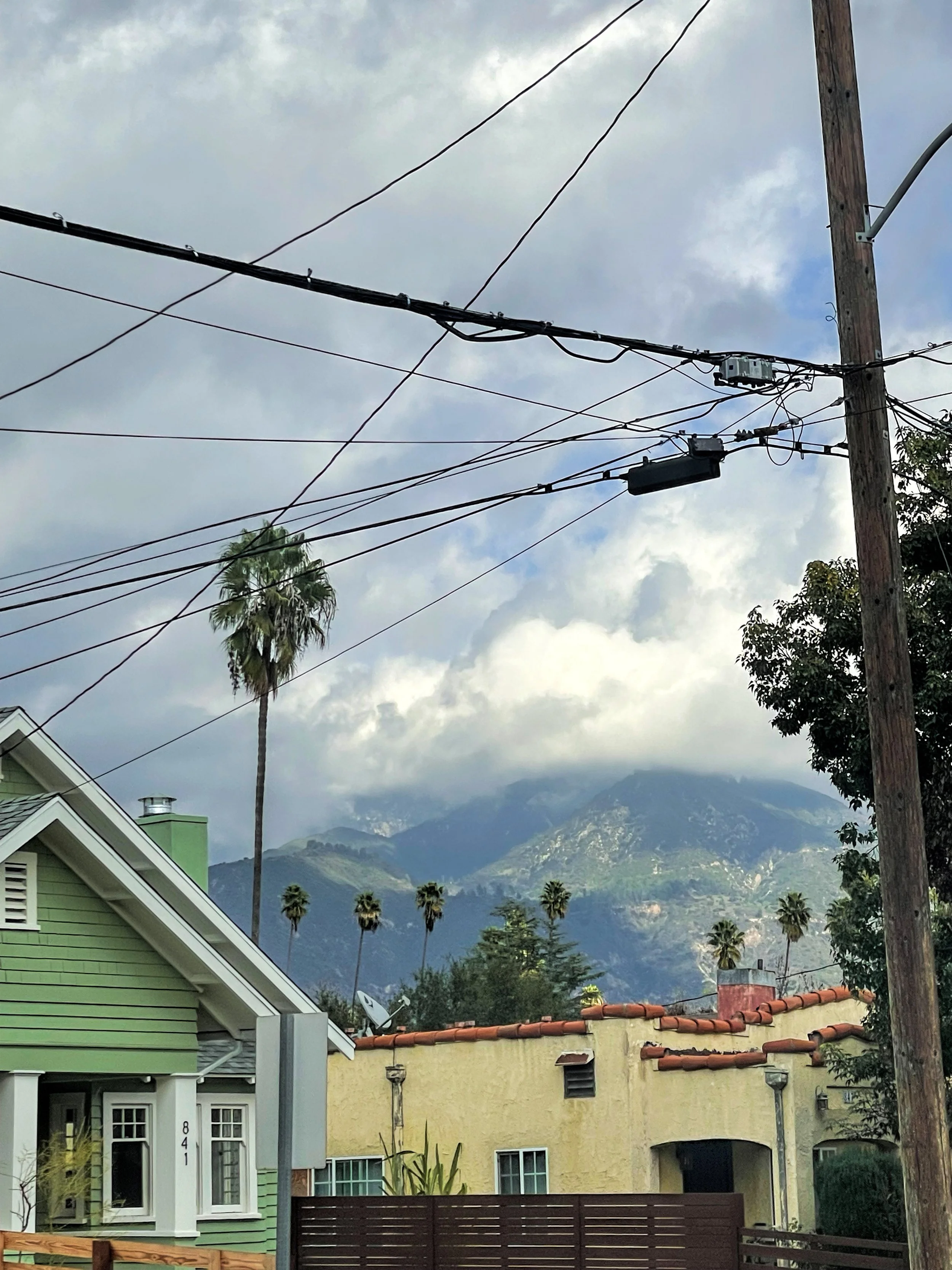 IMG_6026(1).JPEG