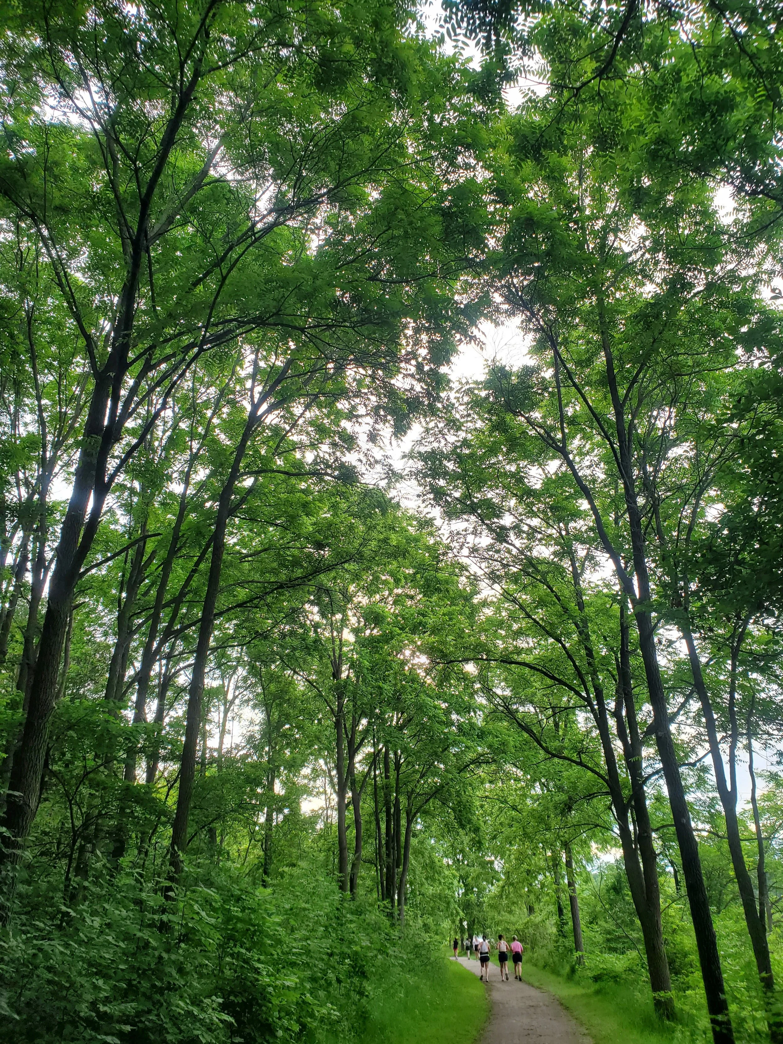 River Bluffs Trail, Galt 