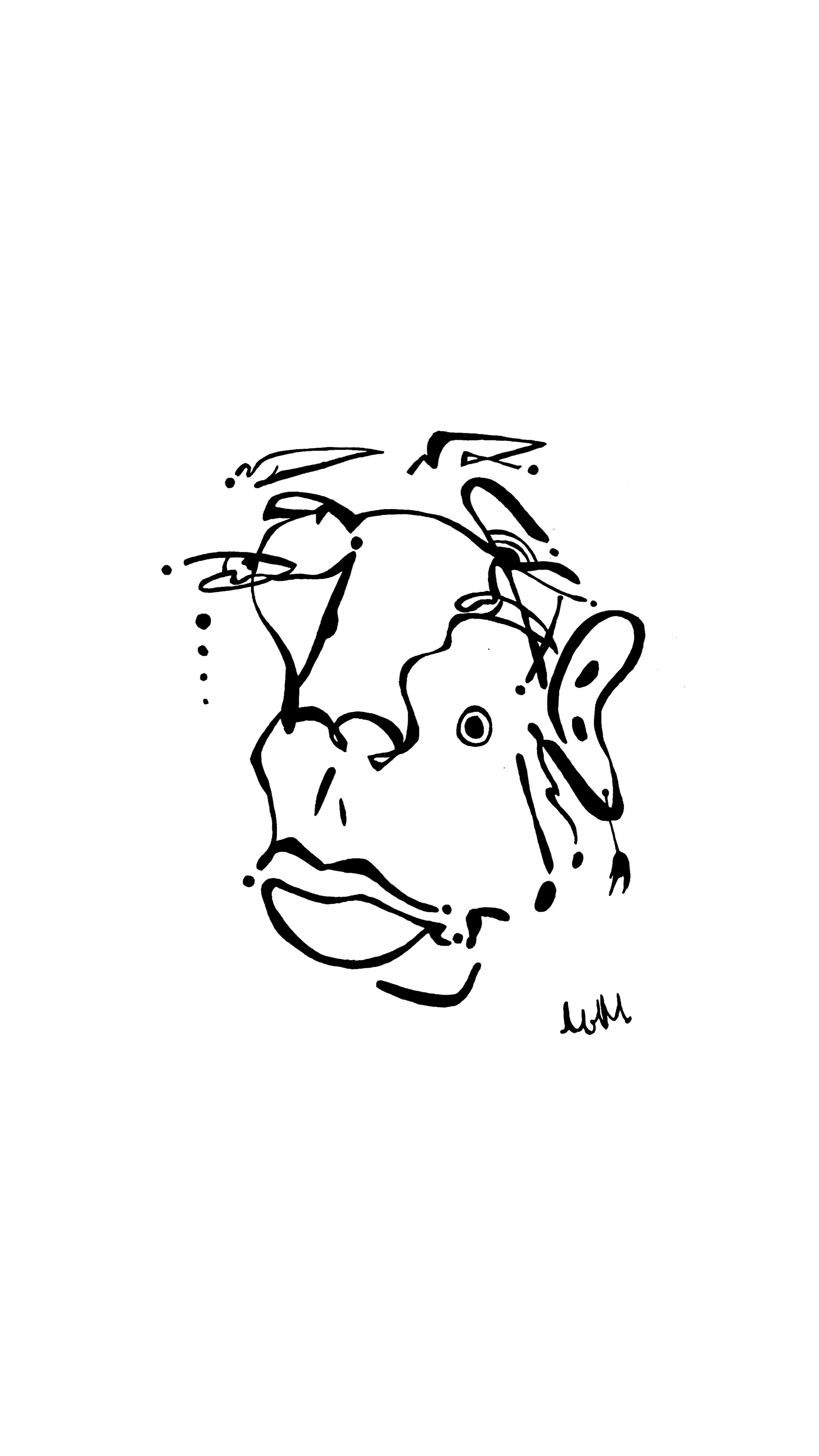 QUICK FACES