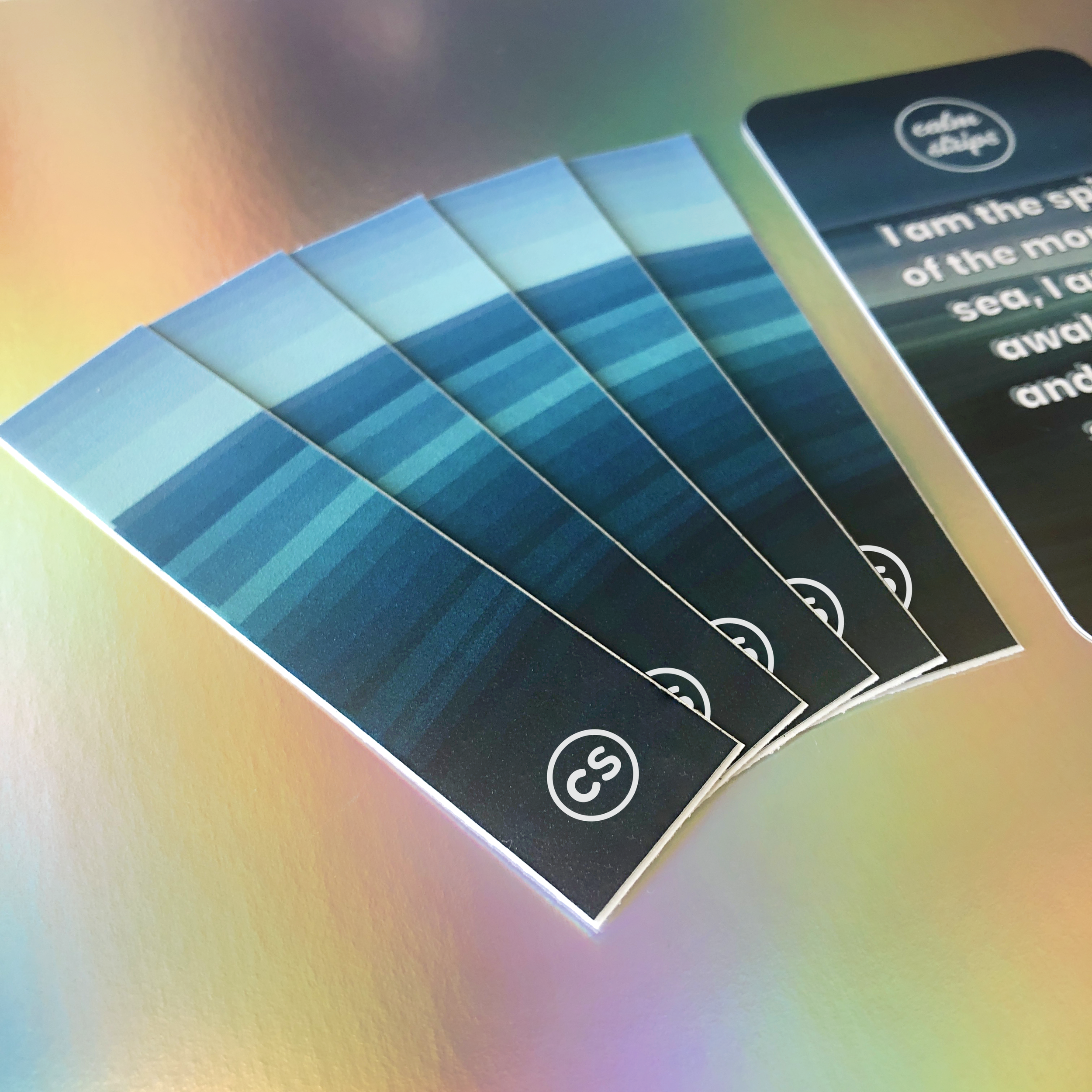 MORNINGSEA_NLogo_3.png