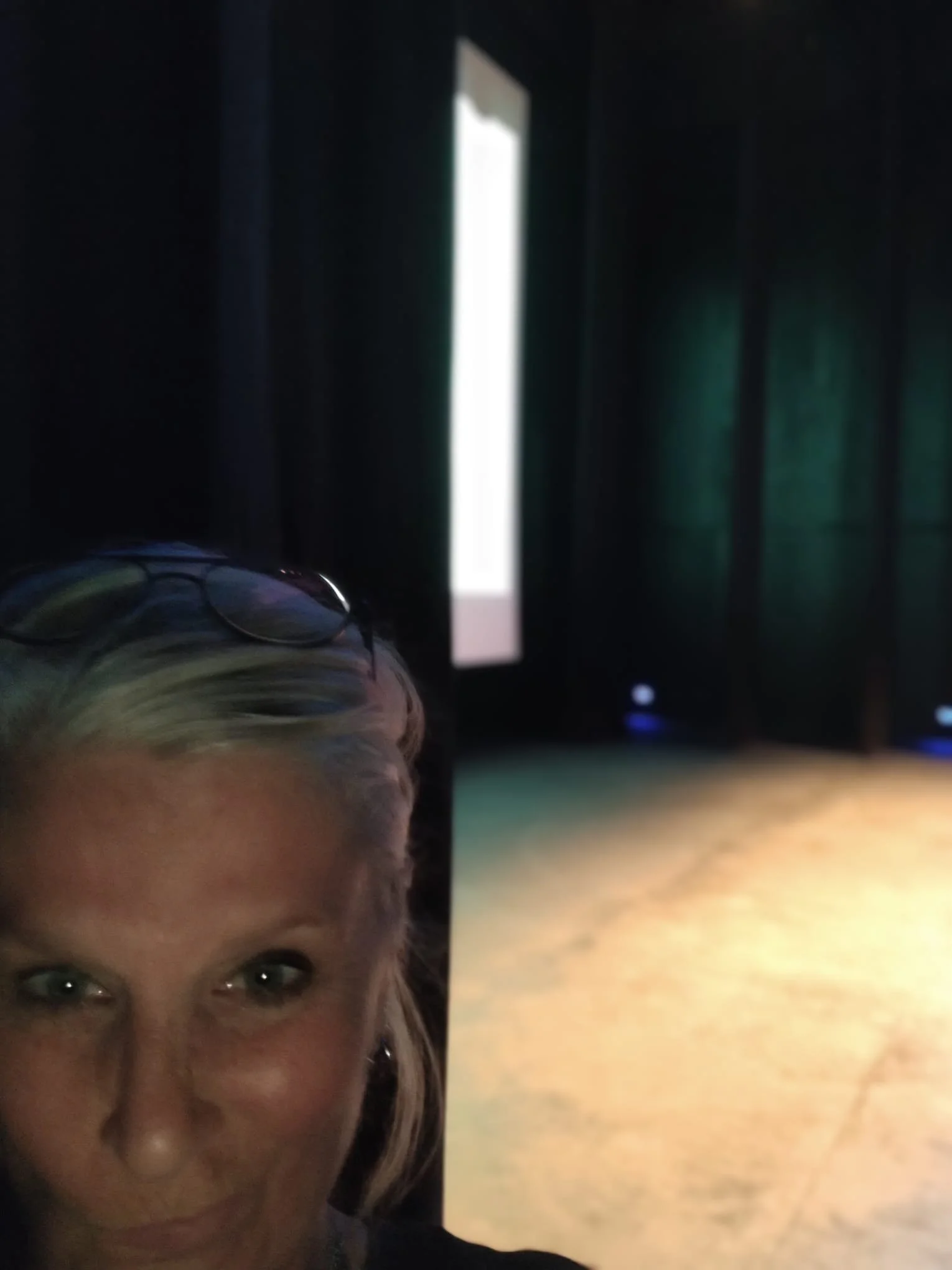 Ann Ceurvels-Keynote- Diversiteit- en inclusie stand-up- www.annceurvels.be