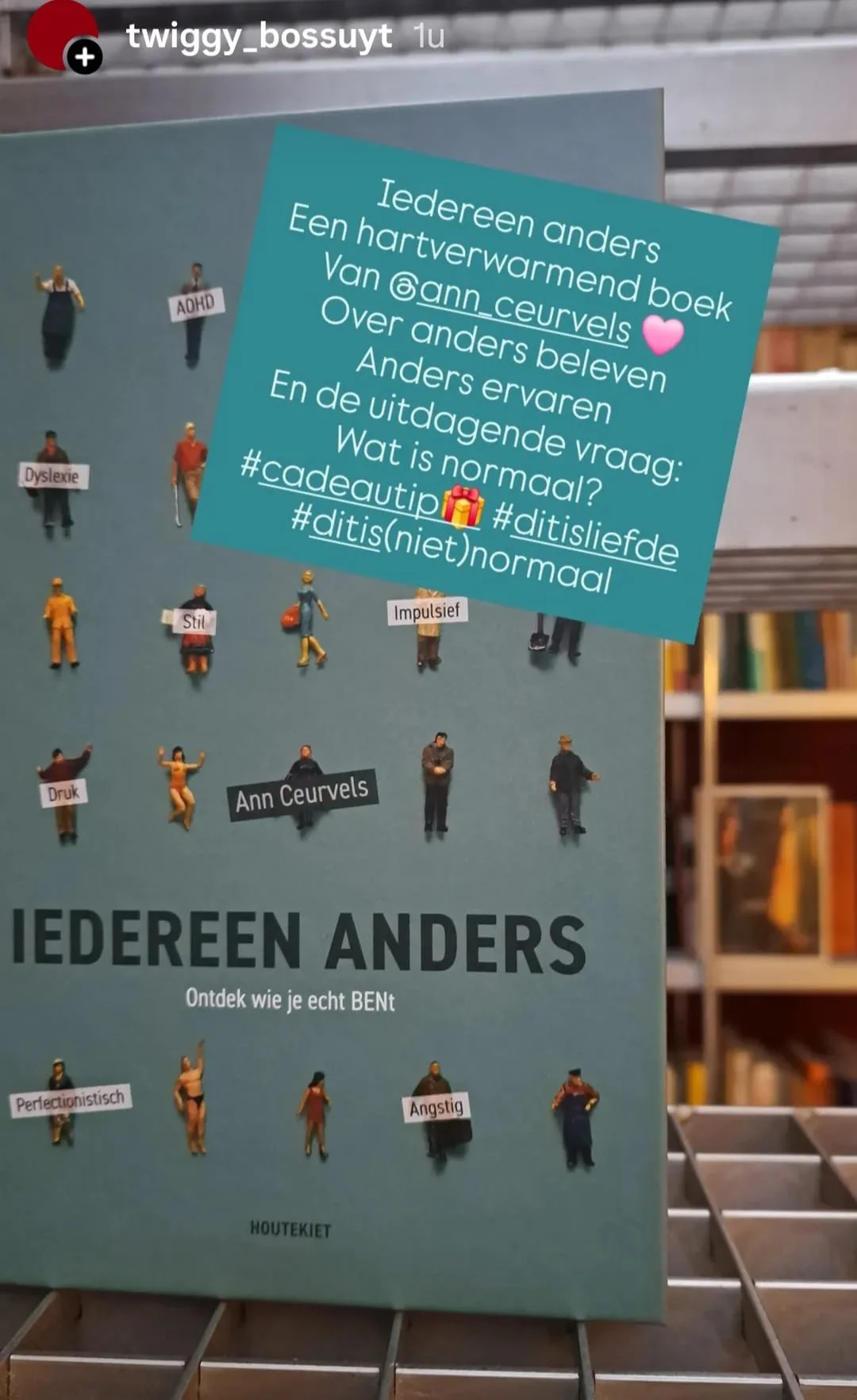 Boekrecensie 'Iedereen Anders' van Ann Ceurvels - positieve kijk op neurodiversiteit en inclusie-www.annceurvels.be