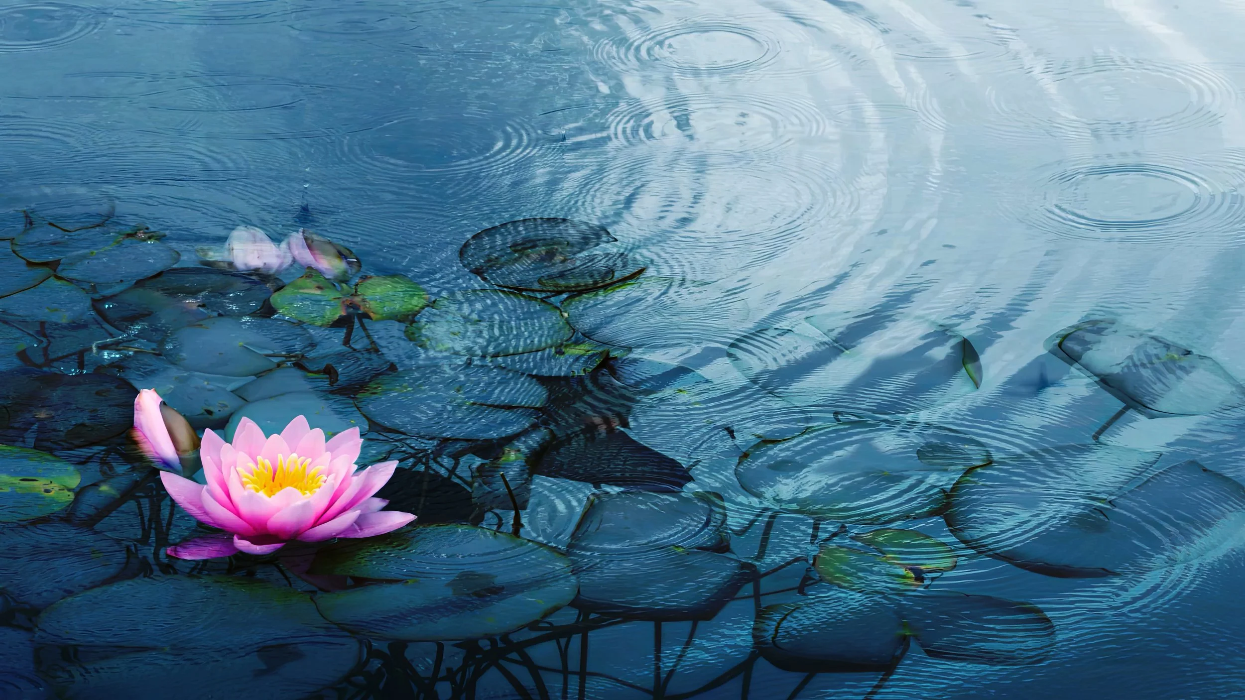 Finding Purpose Through Pain: Dr. Brunkow’s Approach to Health Psychology
