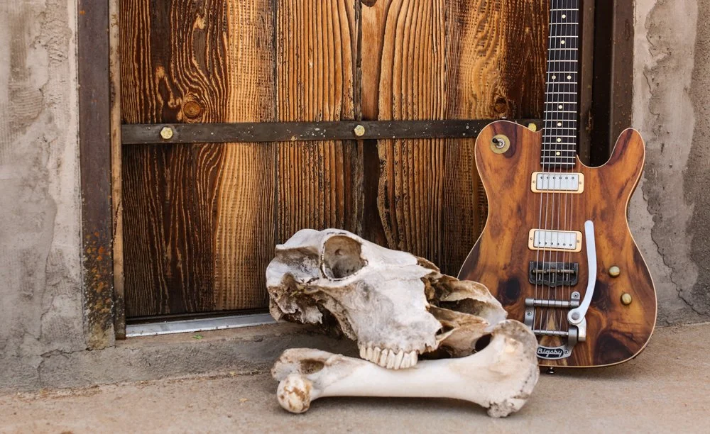 An animal skull lying on the ground next to a wooden wall, with an electric guitar leaning against the wall.