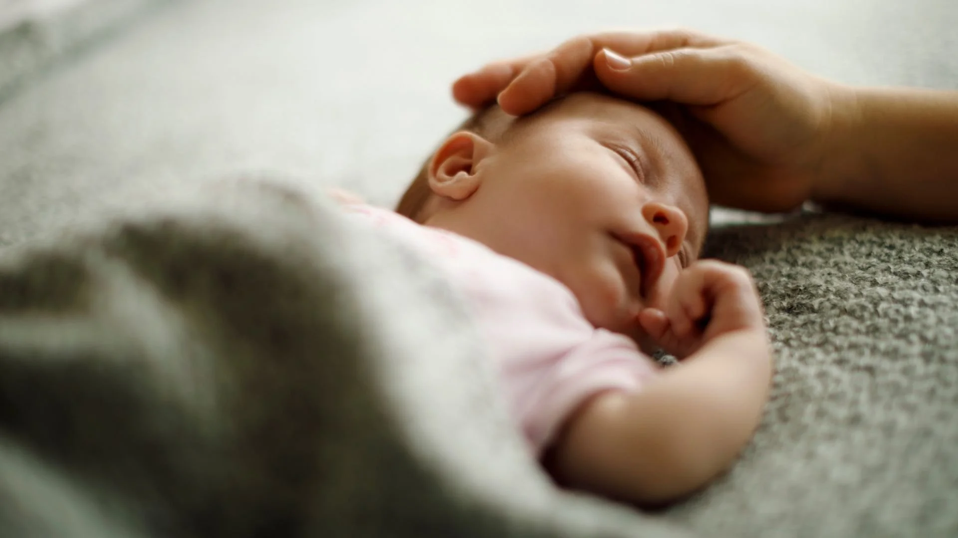 Professional Nanny vs. Babysitter: What's the Difference?