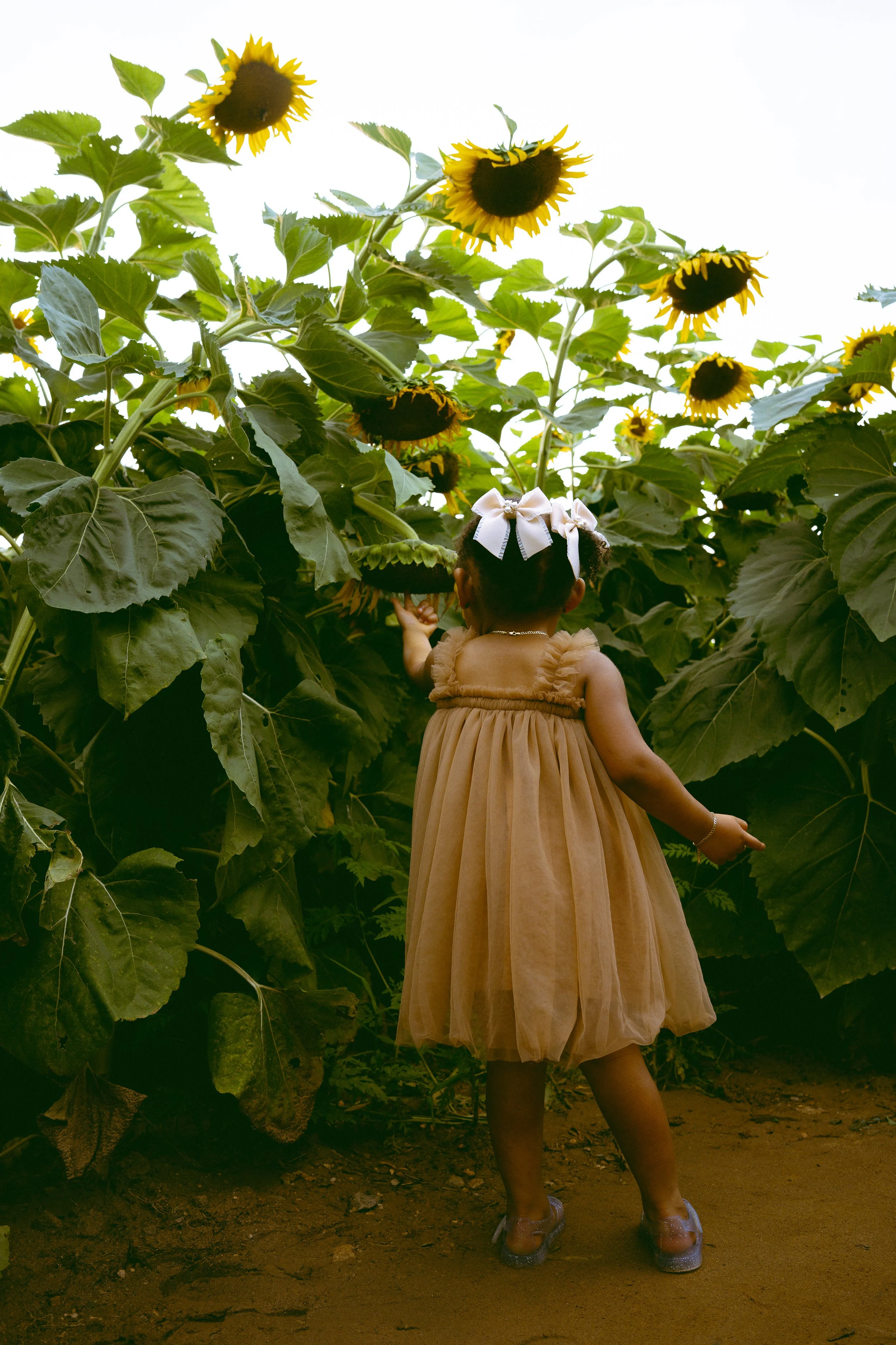 Harlee 2nd Birtdhay-60.jpg