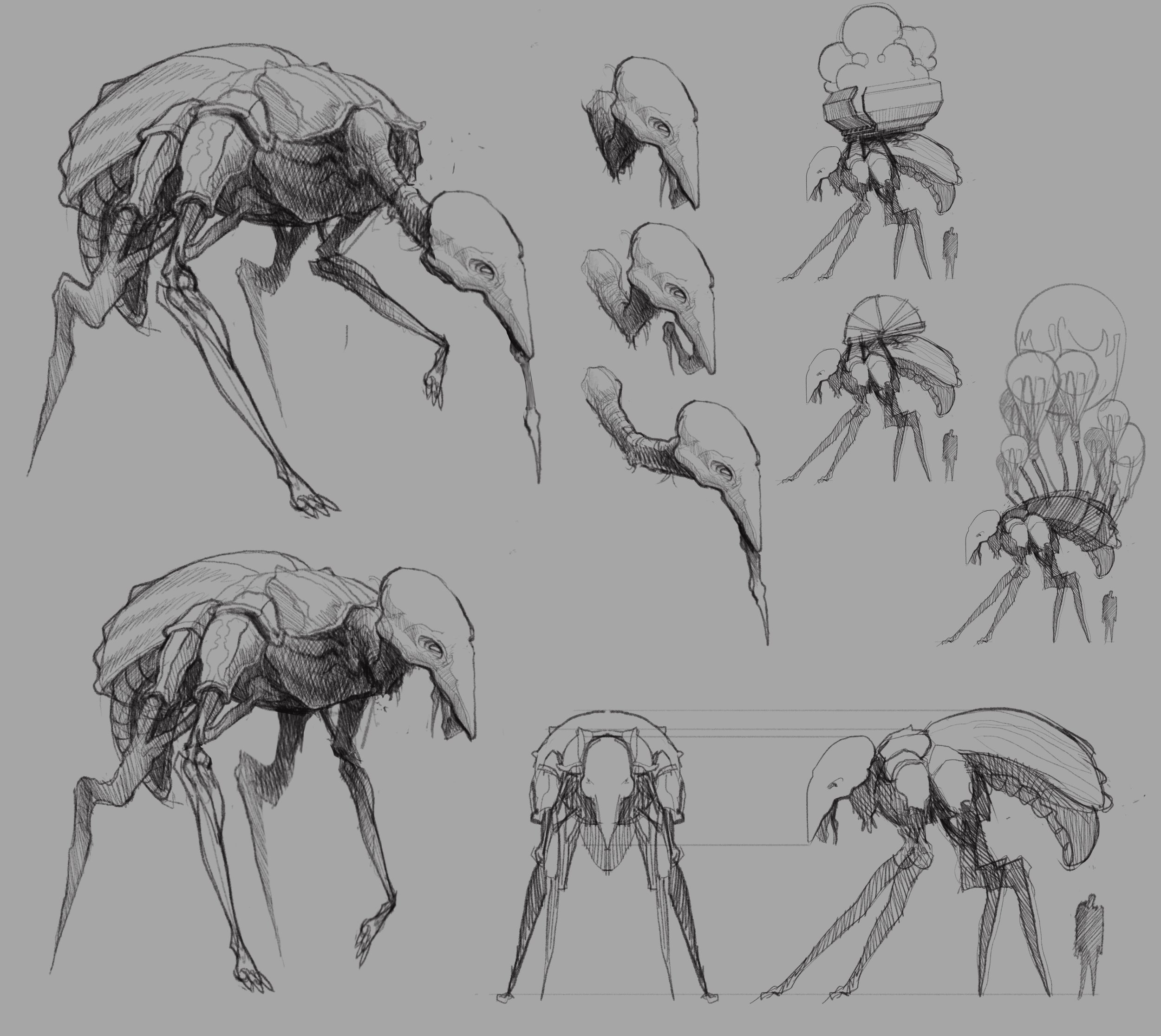 Sketches of insect-like creatures with elongated bodies, multiple legs, and various head shapes, some with shell-like structures or antennae, on a light gray background.