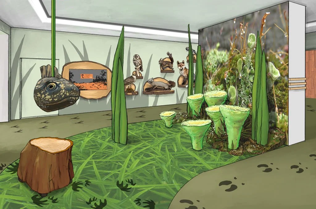 A museum exhibit featuring a dinosaur head replica hanging from the ceiling, a small pond with large green plants, a tree stump, and a wall displaying various small animal models including owls, squirrels, and other creatures.