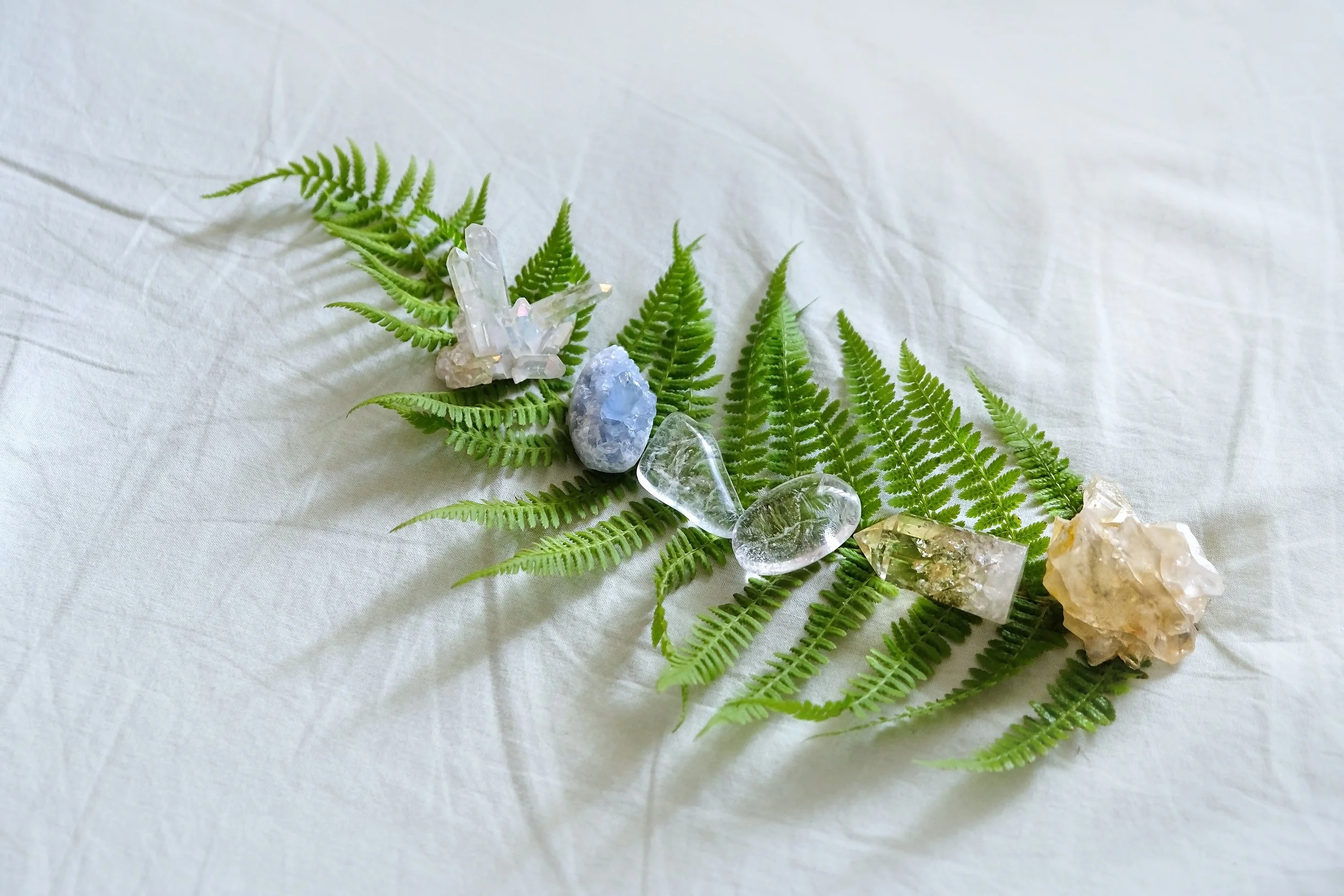 Line of healing gemstones on top of a fern leaf