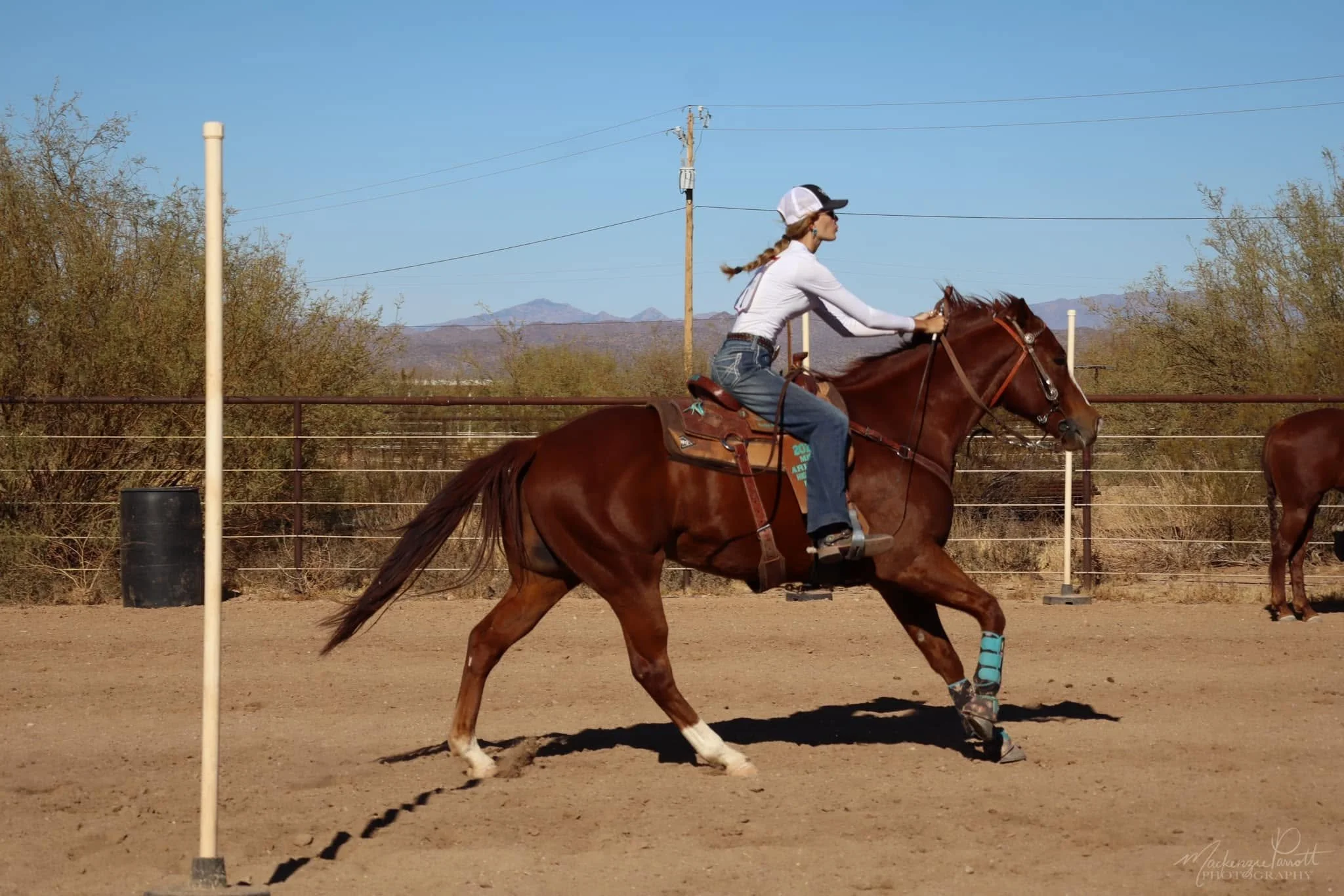 Pole bending.jpg