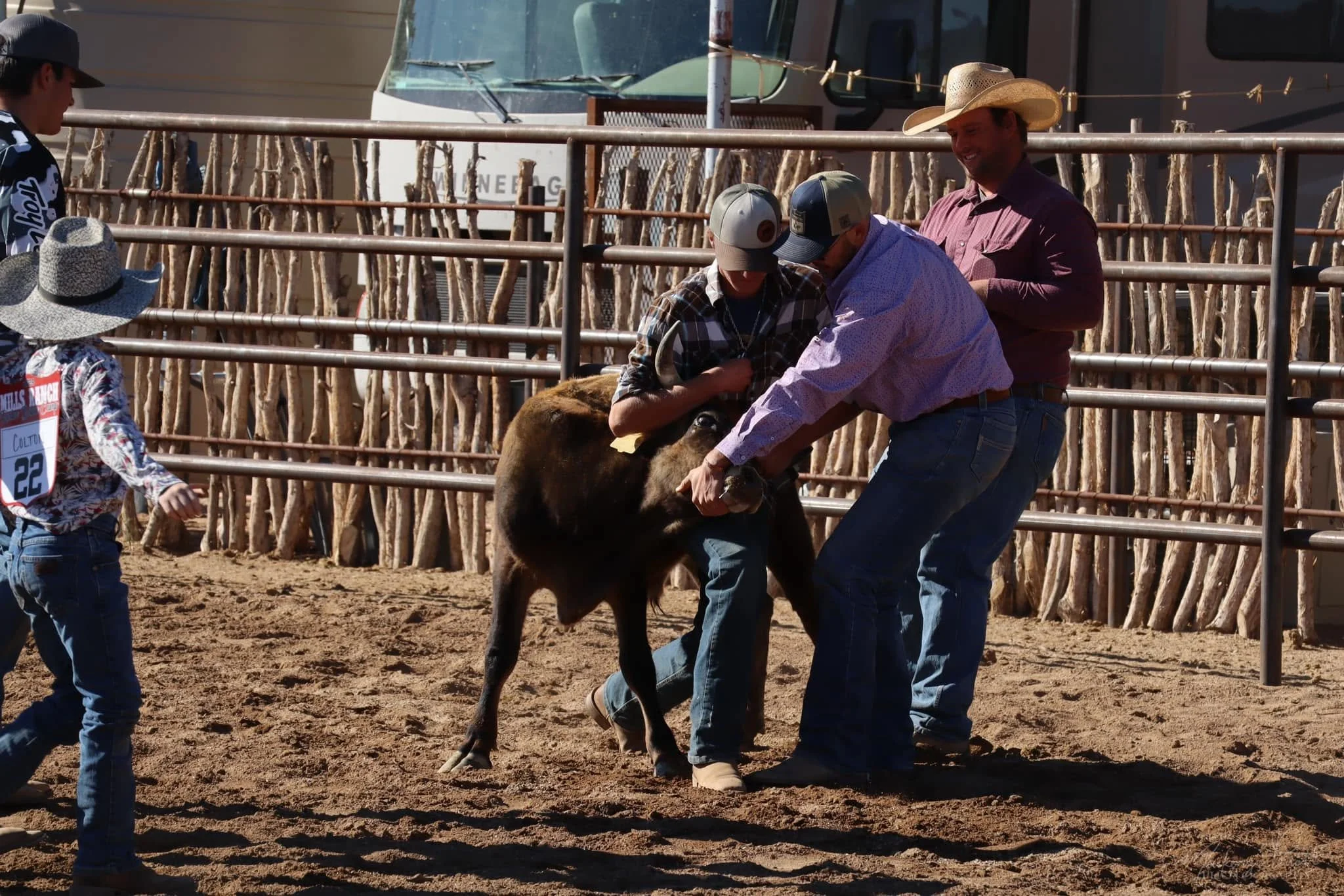 STeer Wrestling Camp Near Me.jpg