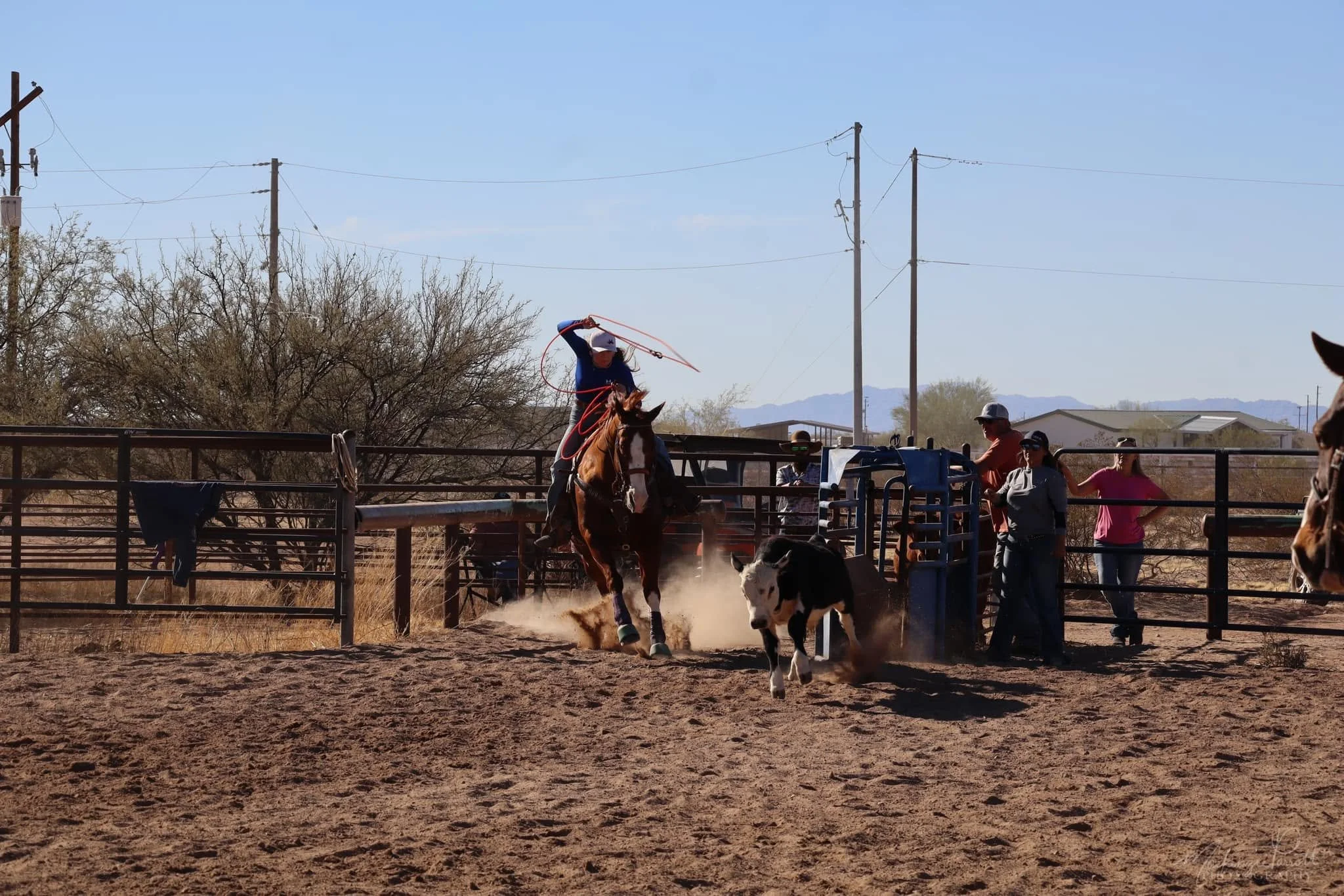 Breakaway roping.jpg