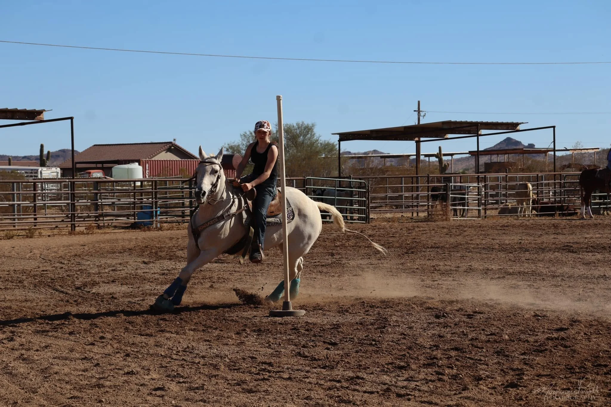 Barrel Racing Clinics in Arizona.jpg