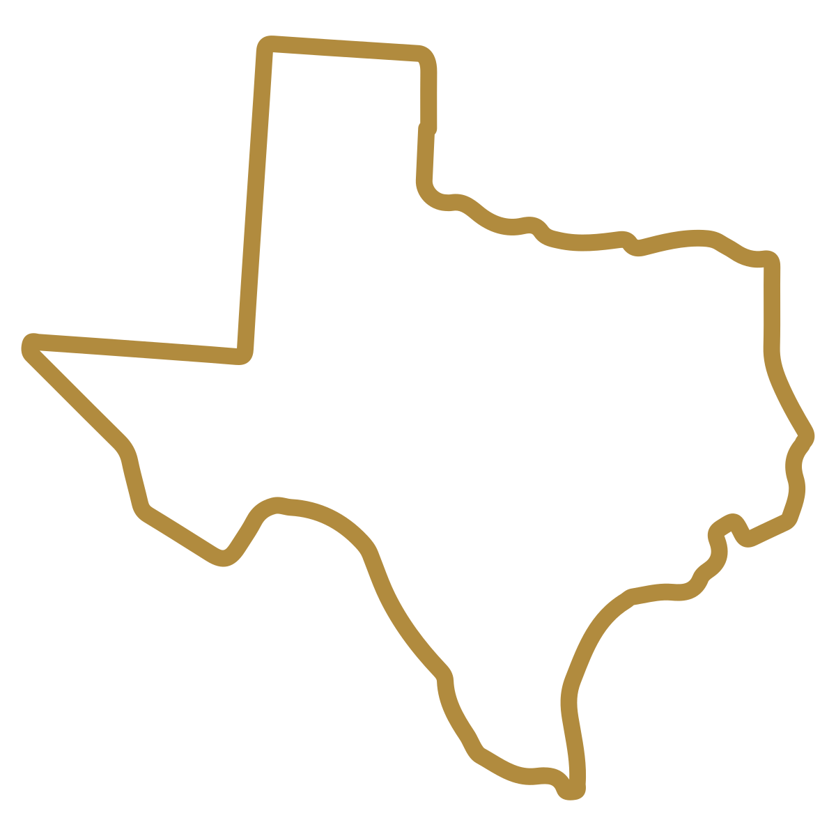Outline of the state of Texas with a gold border.
