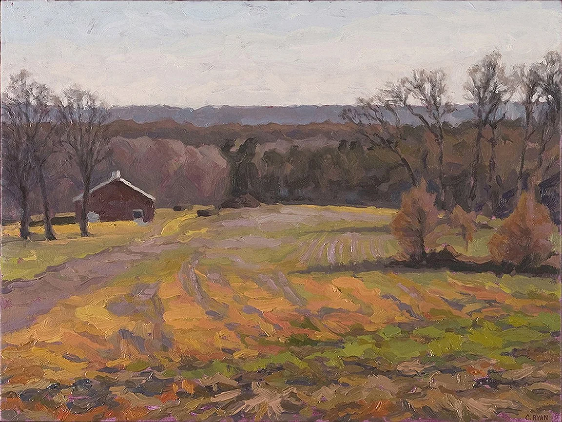 9 Late Fall Garrettsville 2010 12X16 oil on panel.jpg