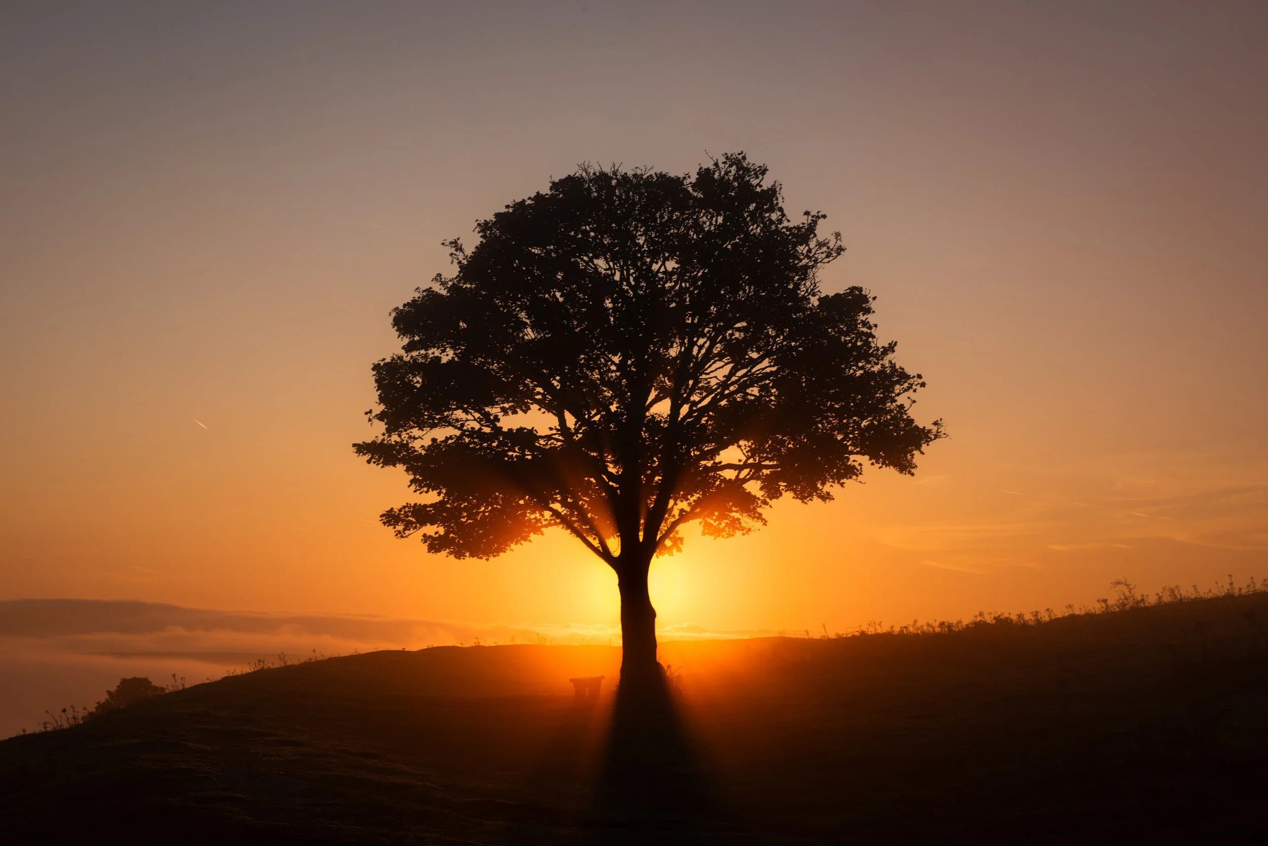 First Light at Cissbury