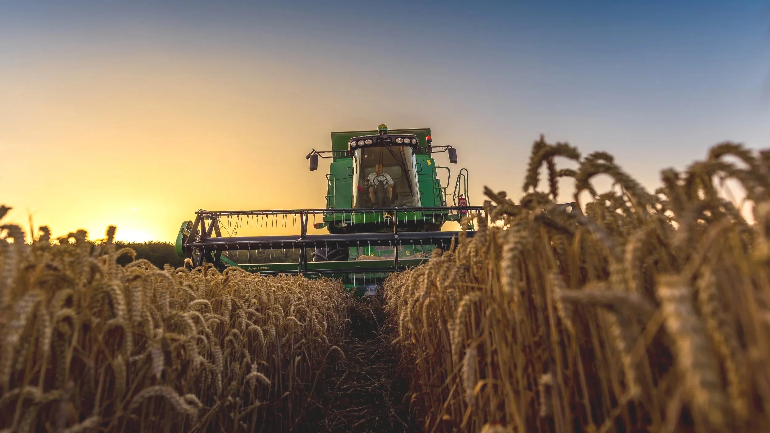 Harvest at Sunrise,  
Arundel England