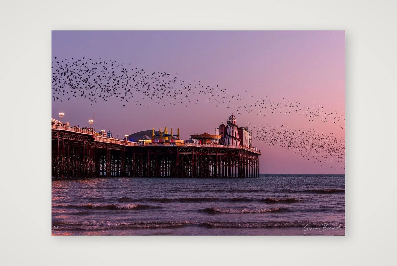 Brighton Palace Pier Murmuration I