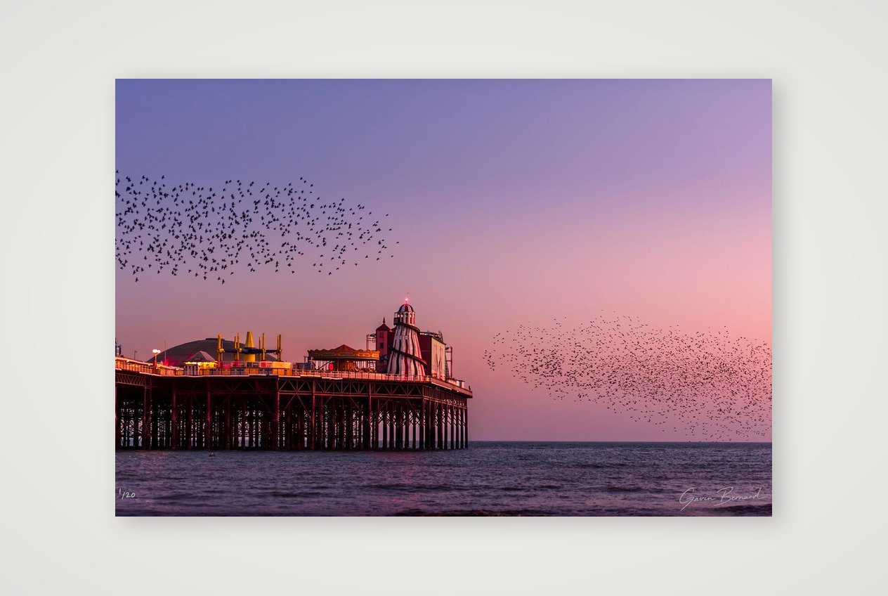 Brighton Pier Murmuration II