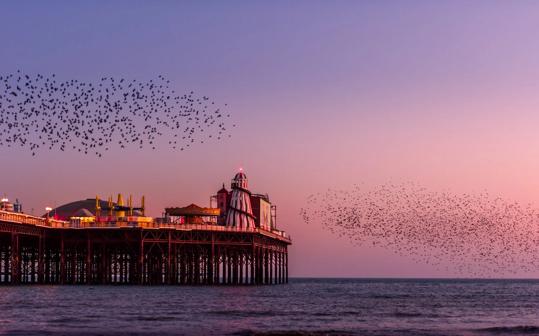 Brighton Pier Murmuration