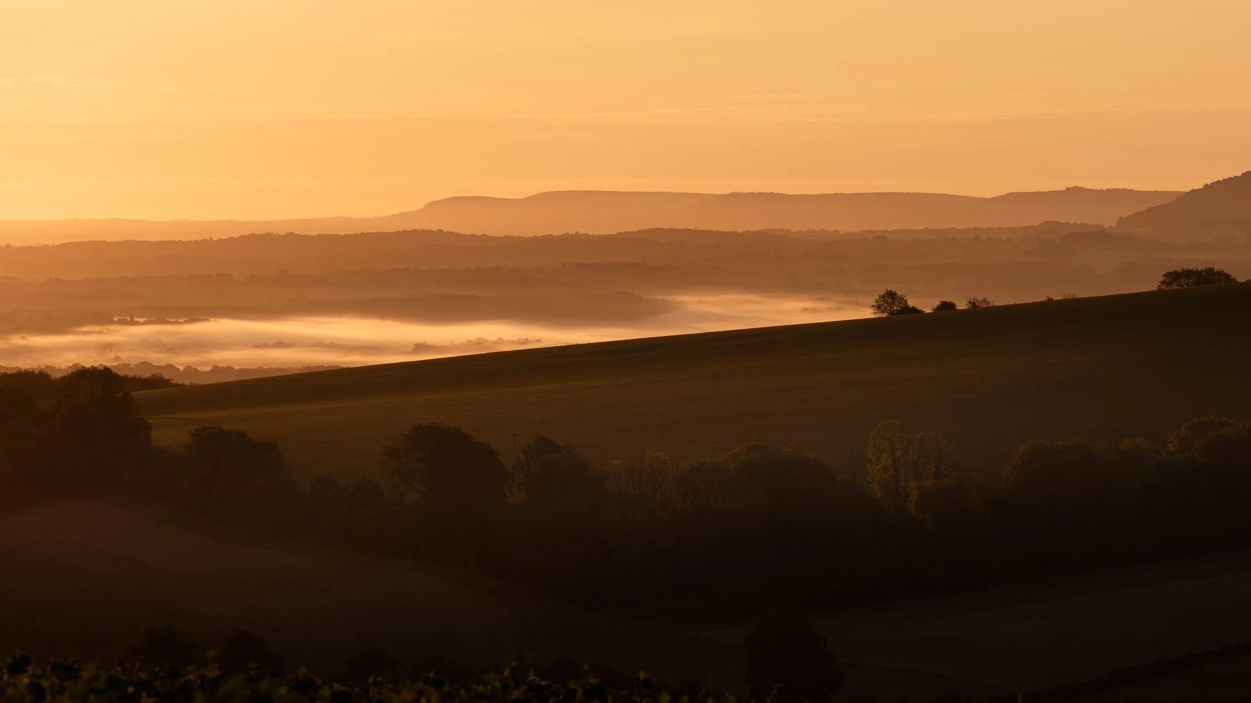 The Valley Awakens.  West Sussex