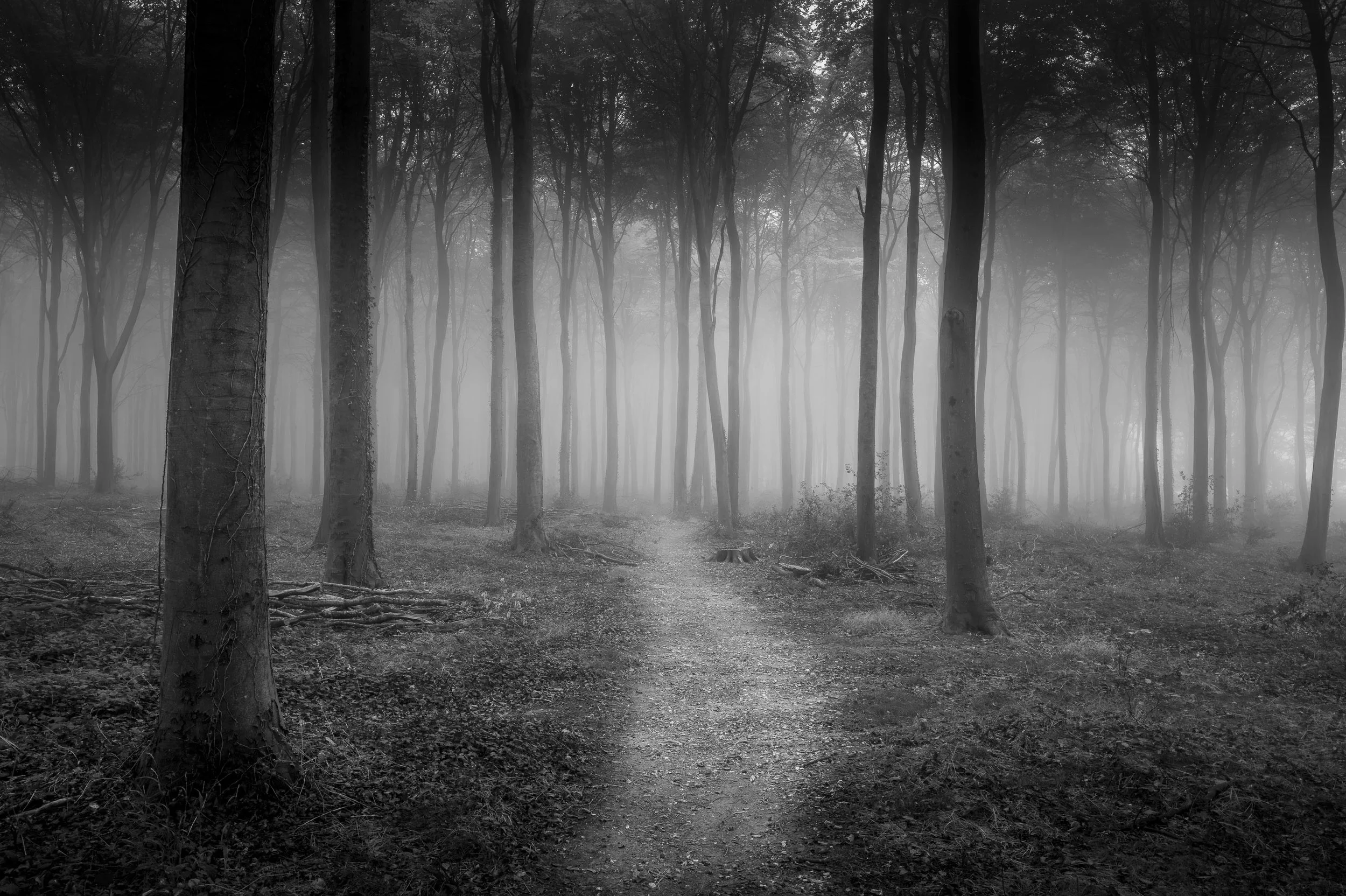 In To Silence.  Angering Estate, Arundel
