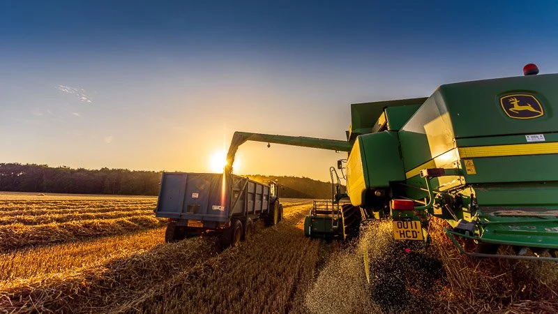Harvest, Arundel, England
