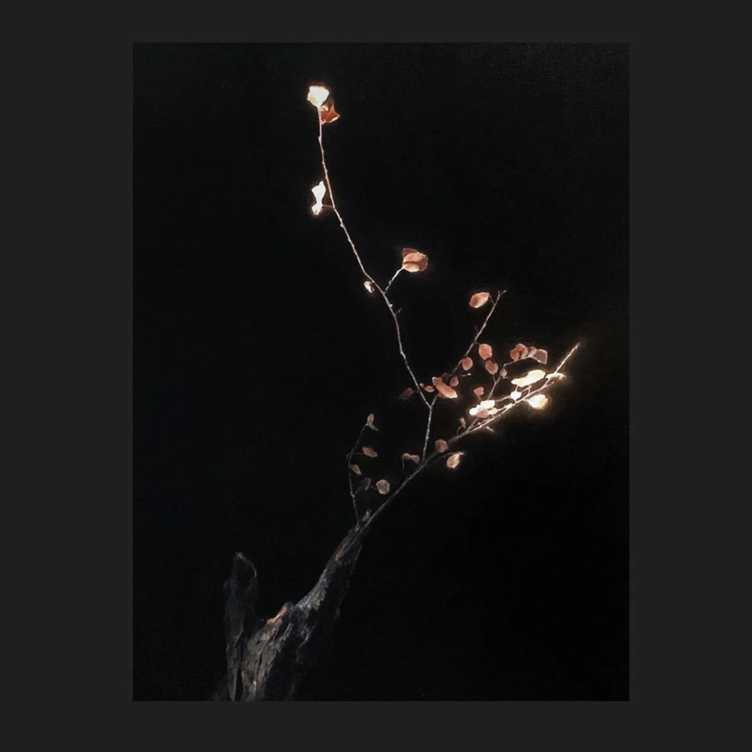 Oil on canvas