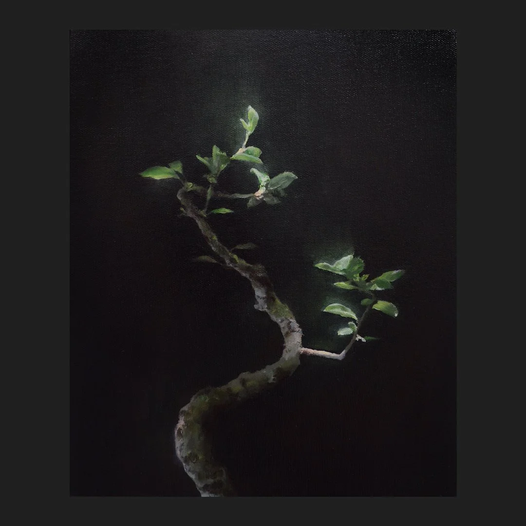 Oil on canvas