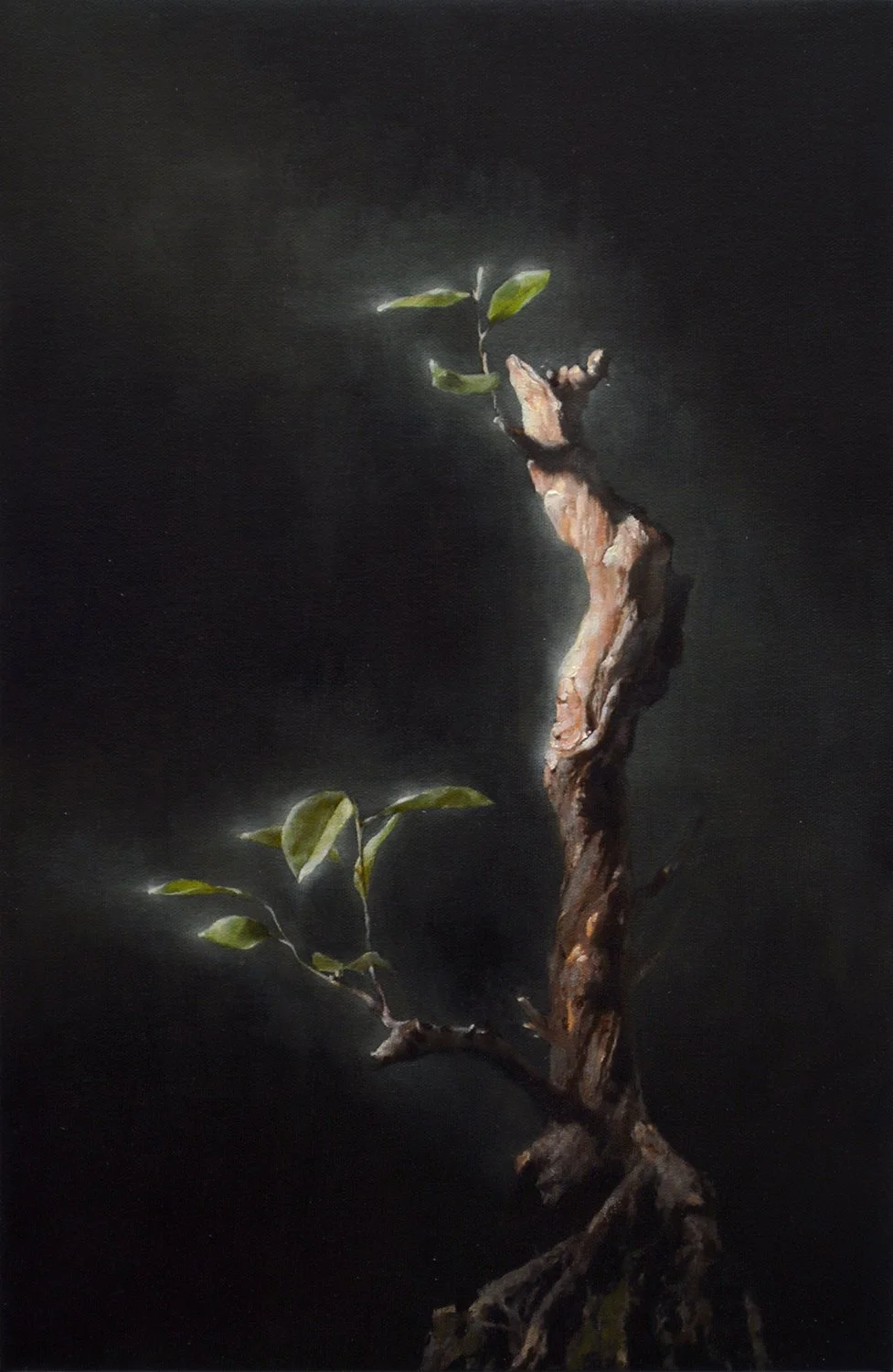 Oil on canvas