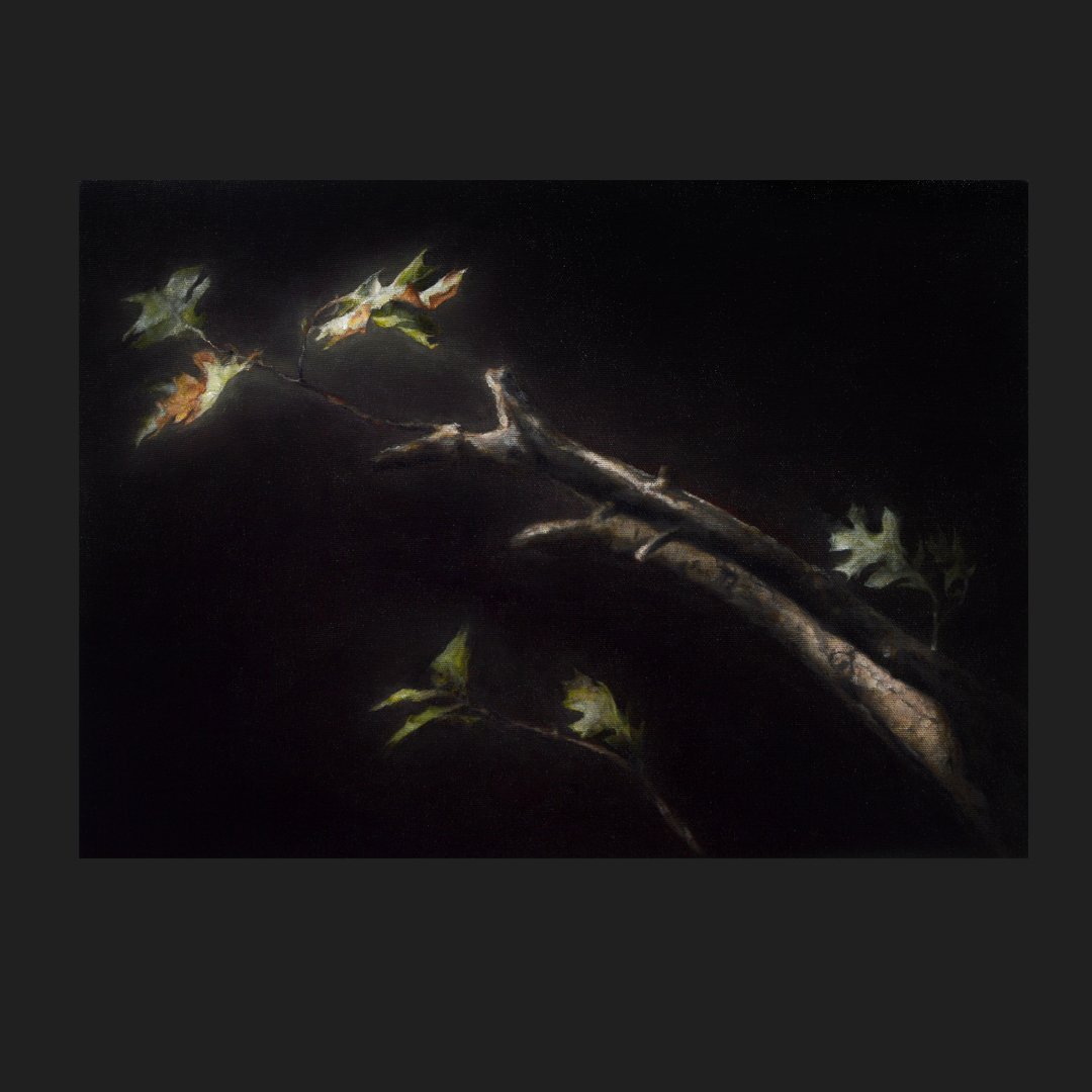 Oil on canvas