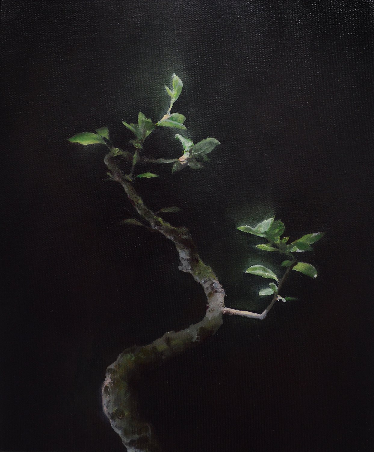 Oil on canvas