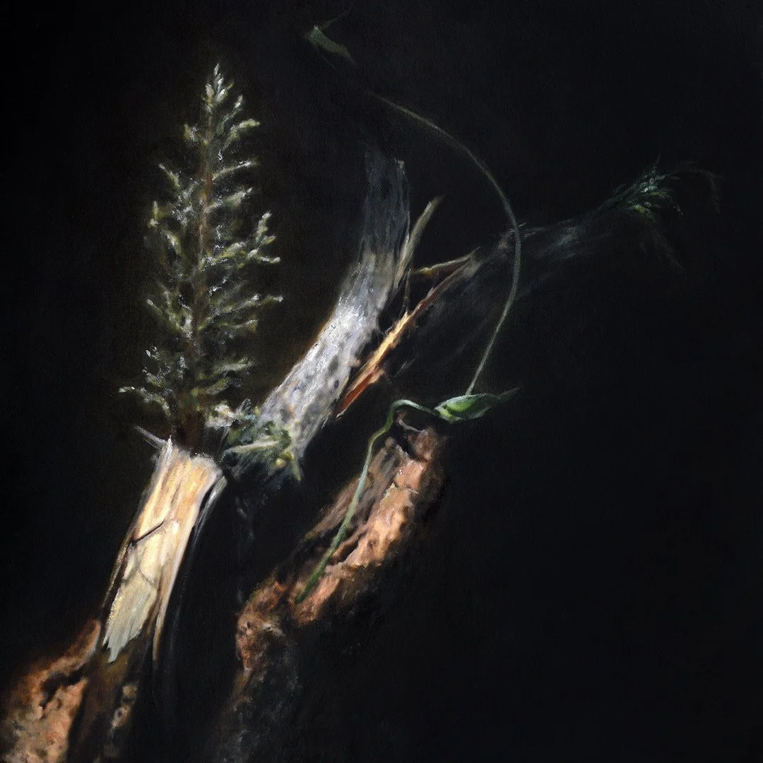 Oil on canvas