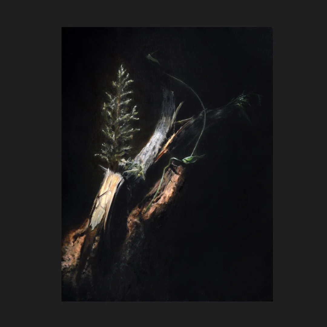 Oil on canvas