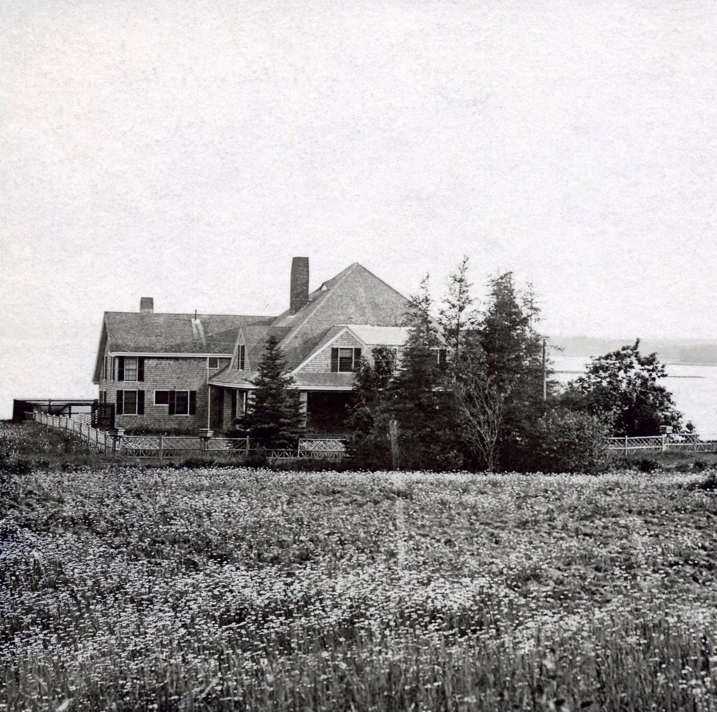 Vintage black and white photo of a large, historic house surrounded by a field of flowers and tall trees, with a body of water in the background.
