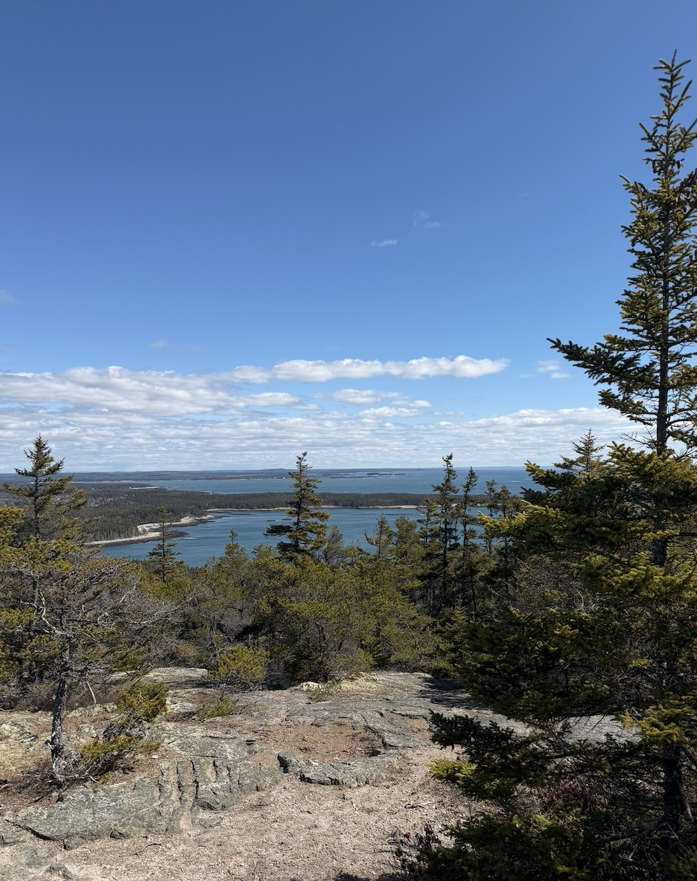 Scenic view of a lake surrounded by trees under a bright blue sky with scattered clouds