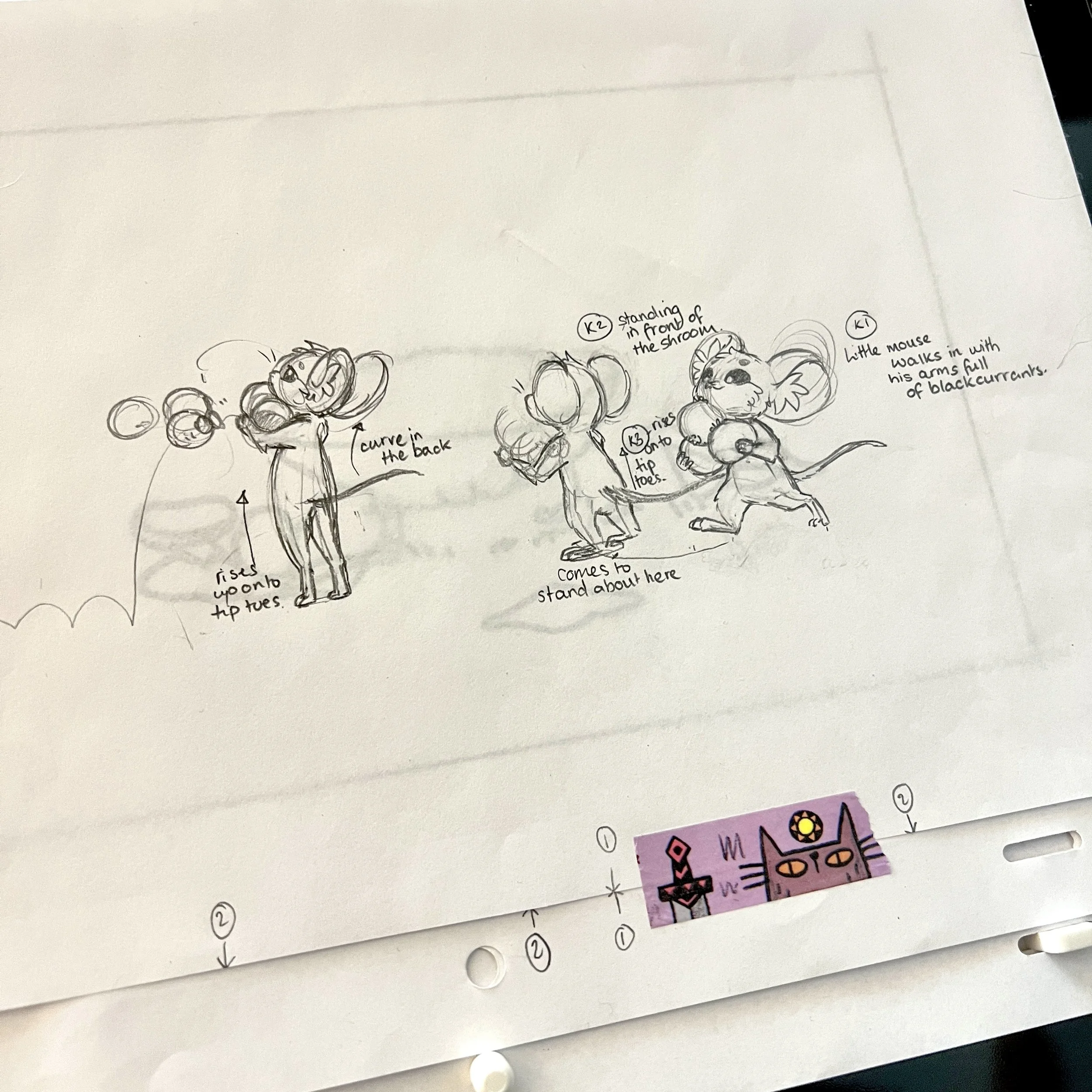 Hand-drawn illustrations of animals, including a mouse and other creatures, with handwritten notes and labels, partially visible on a white sheet of paper.