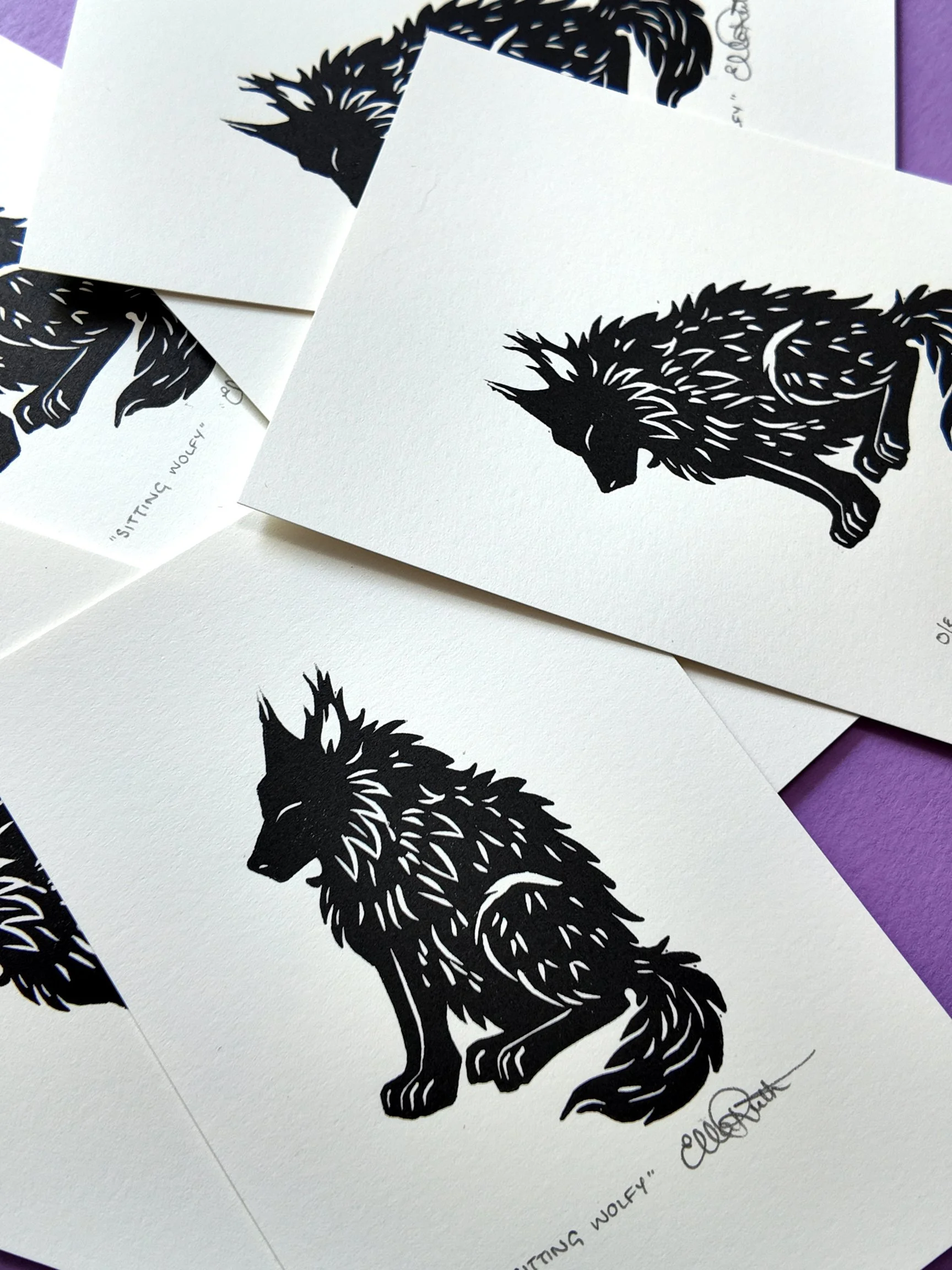 Sitting Wolfy 002.jpg
