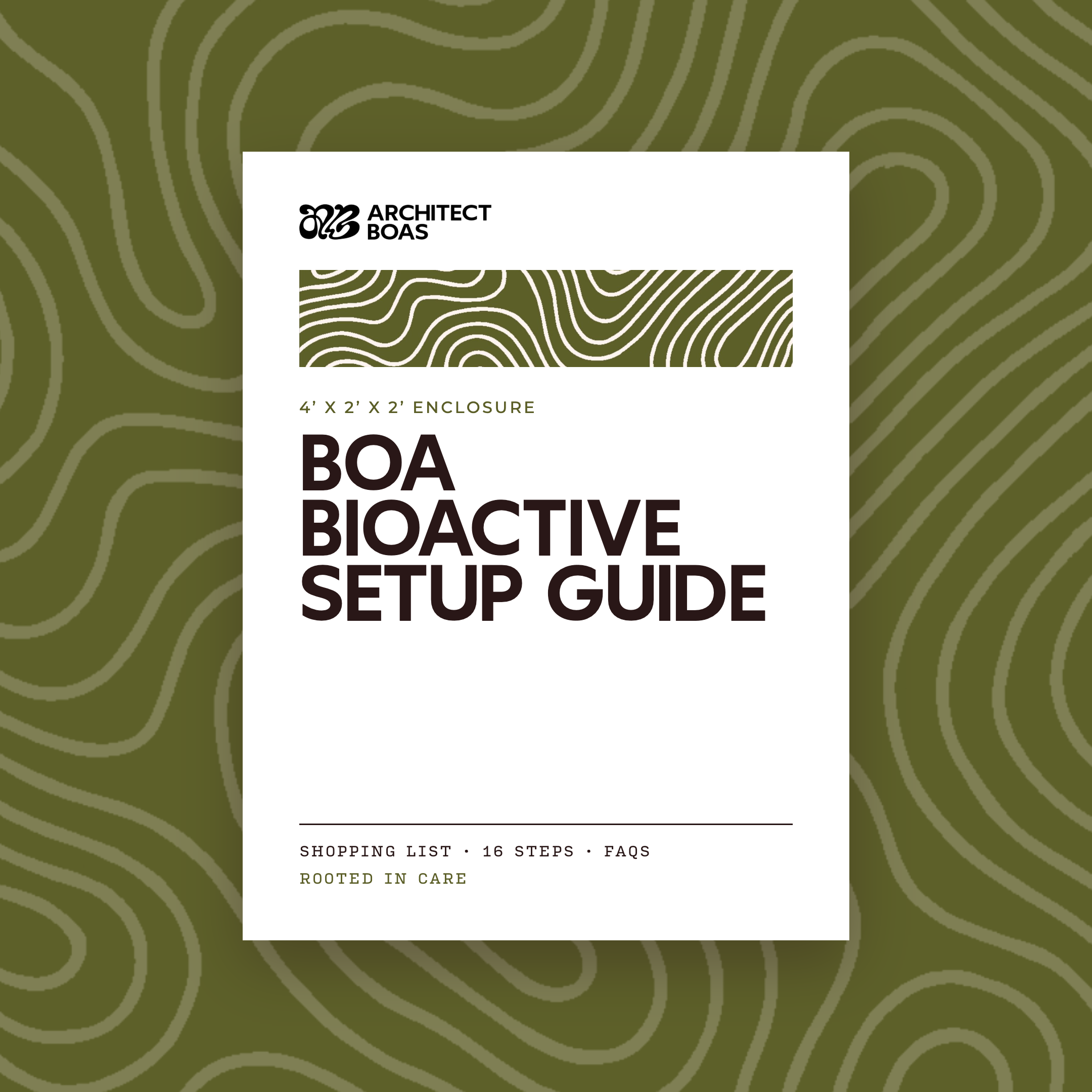 Bioactive Setup Guide for Boas