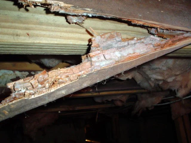Common Causes of Crawlspace Wood Rot