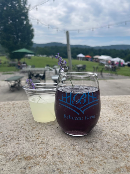 Two glasses, one with a lavender sprig and purple drink, the other with a clear lemony beverage, on a stone surface outdoors, at Bellevue Farm with tents, picnic tables, and a grassy field in the background.