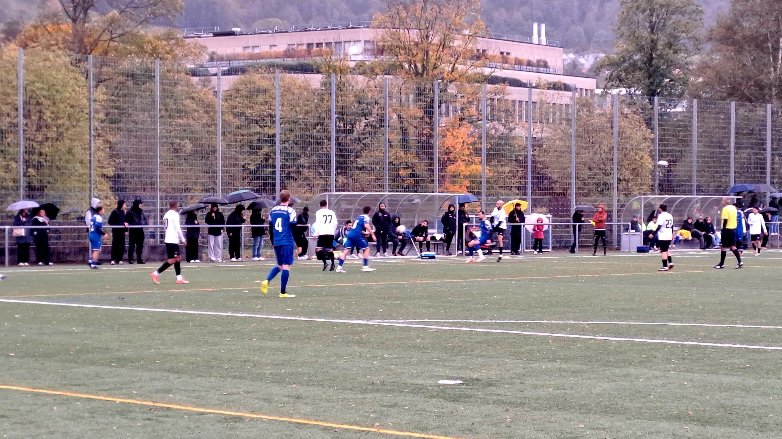 05.jpg