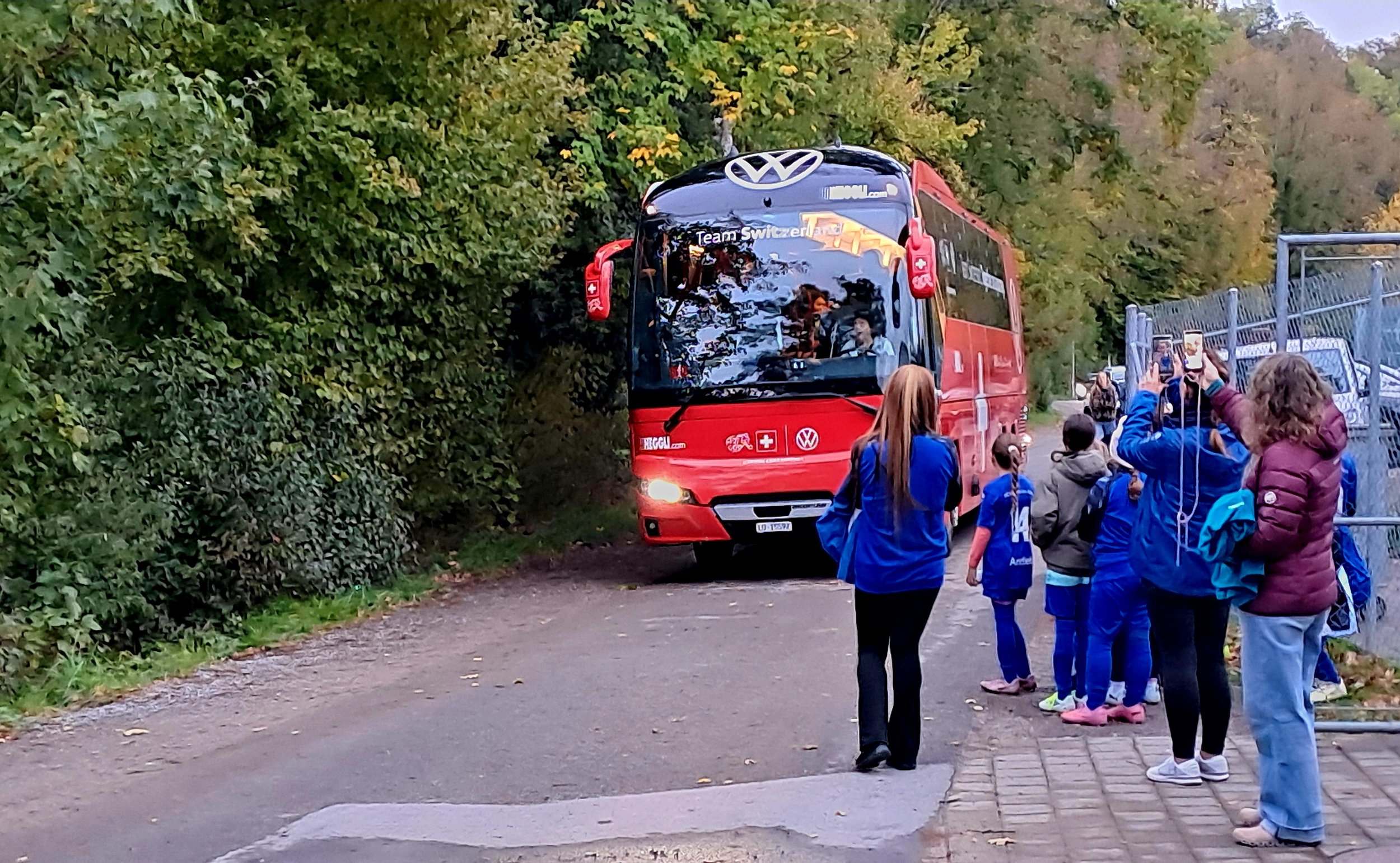 Ebus.jpg
