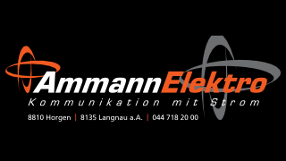 AmmannElektro.png