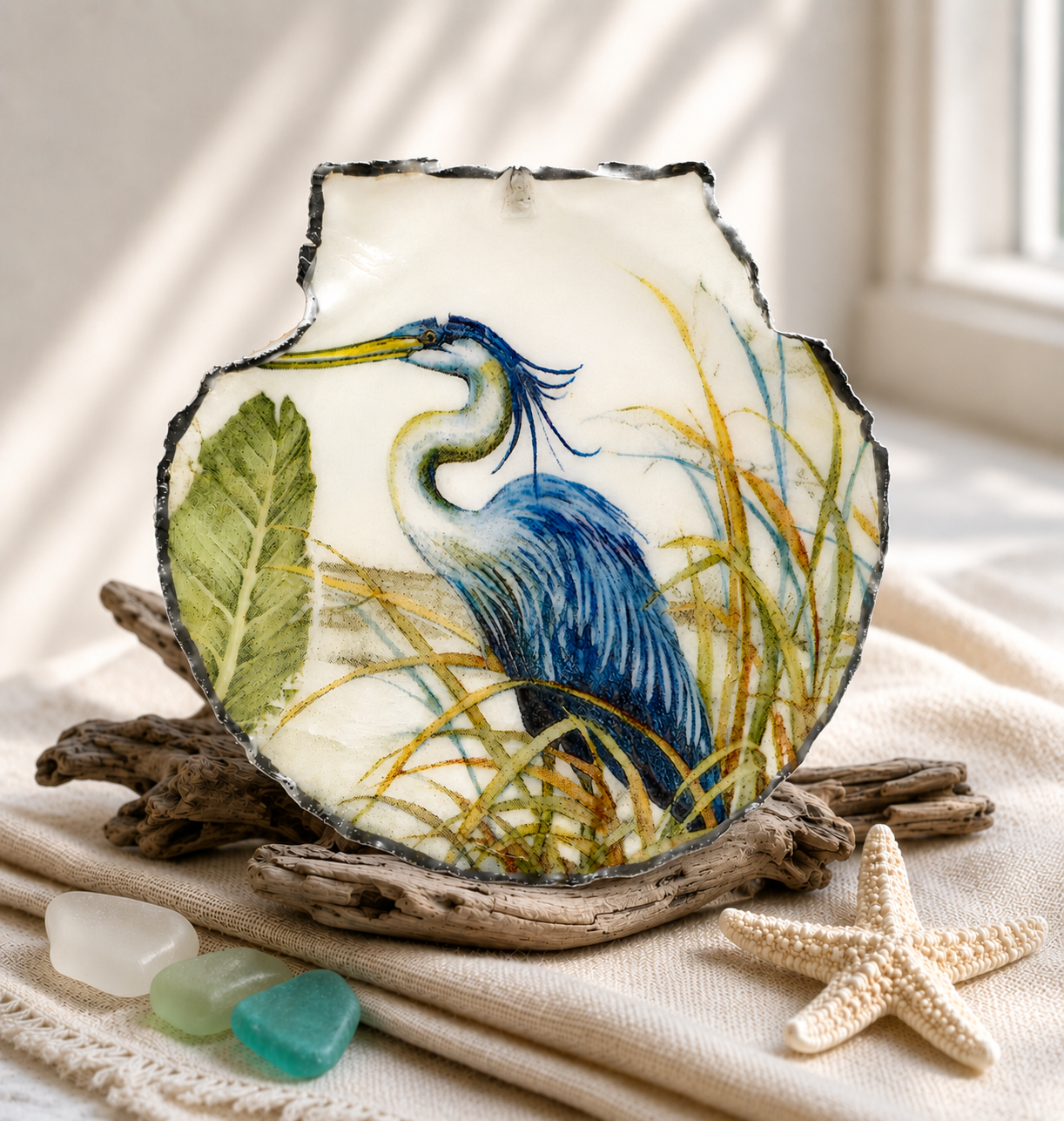 DIY Shell Craft Kit - Coastal Collection